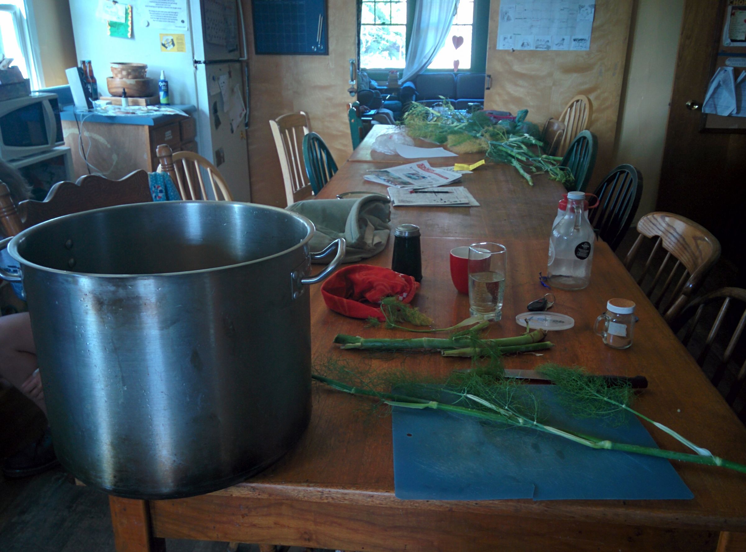 Fennel Stalk Soup Stock 3 Steps Instructables