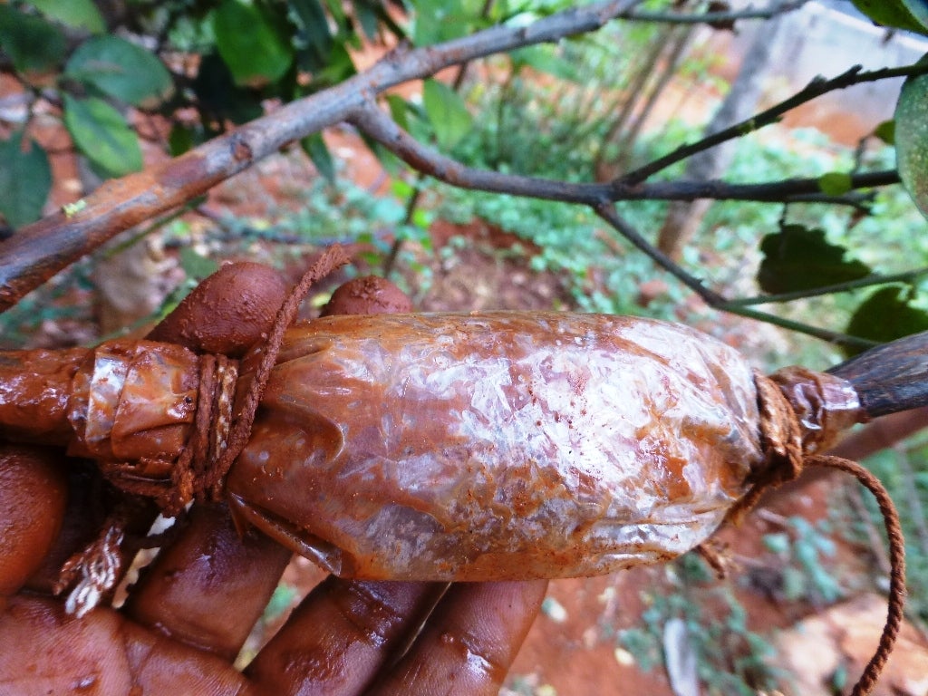 Layering Fruit Trees / How To Clone Fruit Trees With The Air Layering Method Dengarden / Maybe you would like to learn more about one of these?