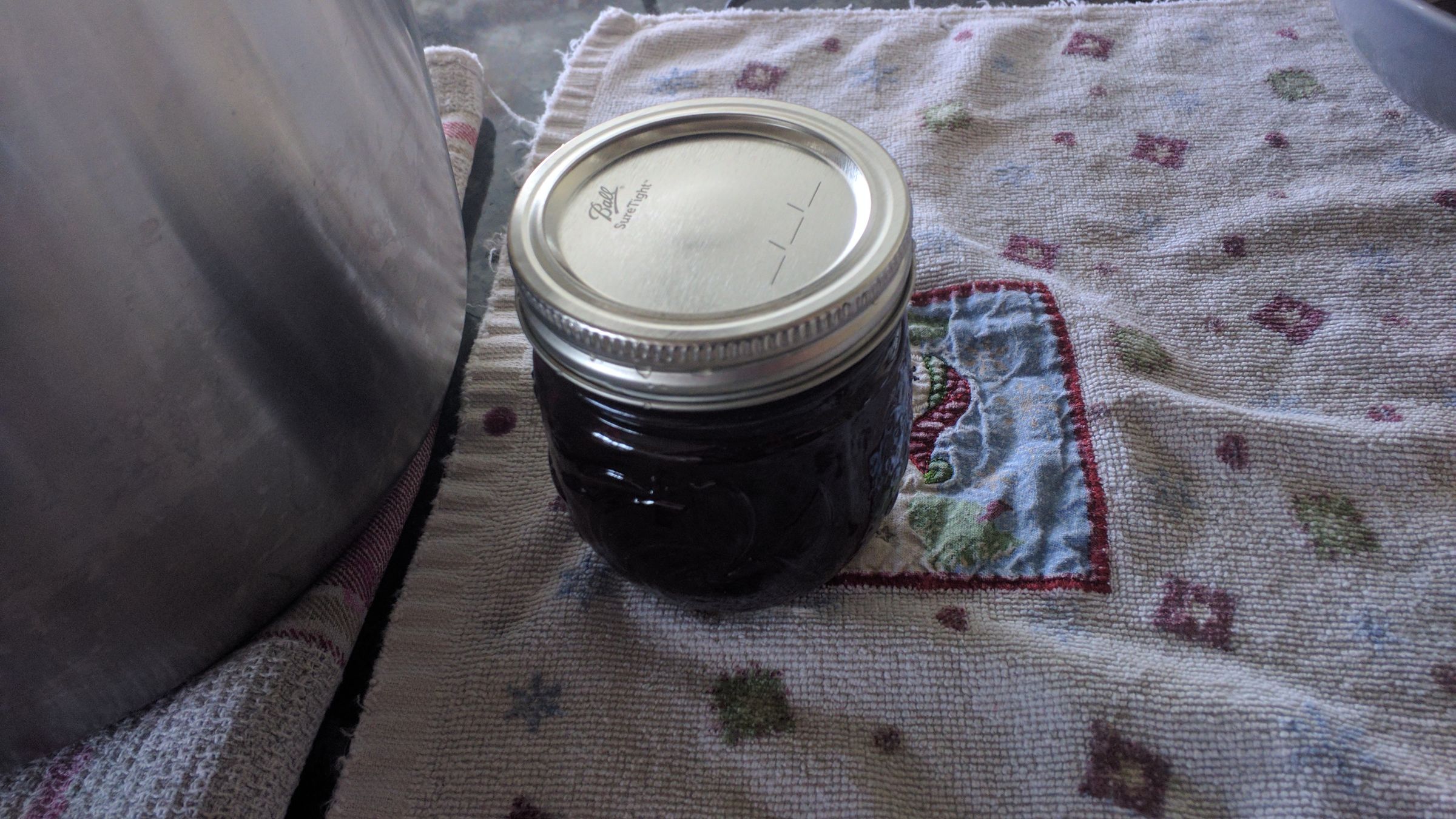 Texas Wild Mustang Grape Jelly 7 Steps (with Pictures) Instructables