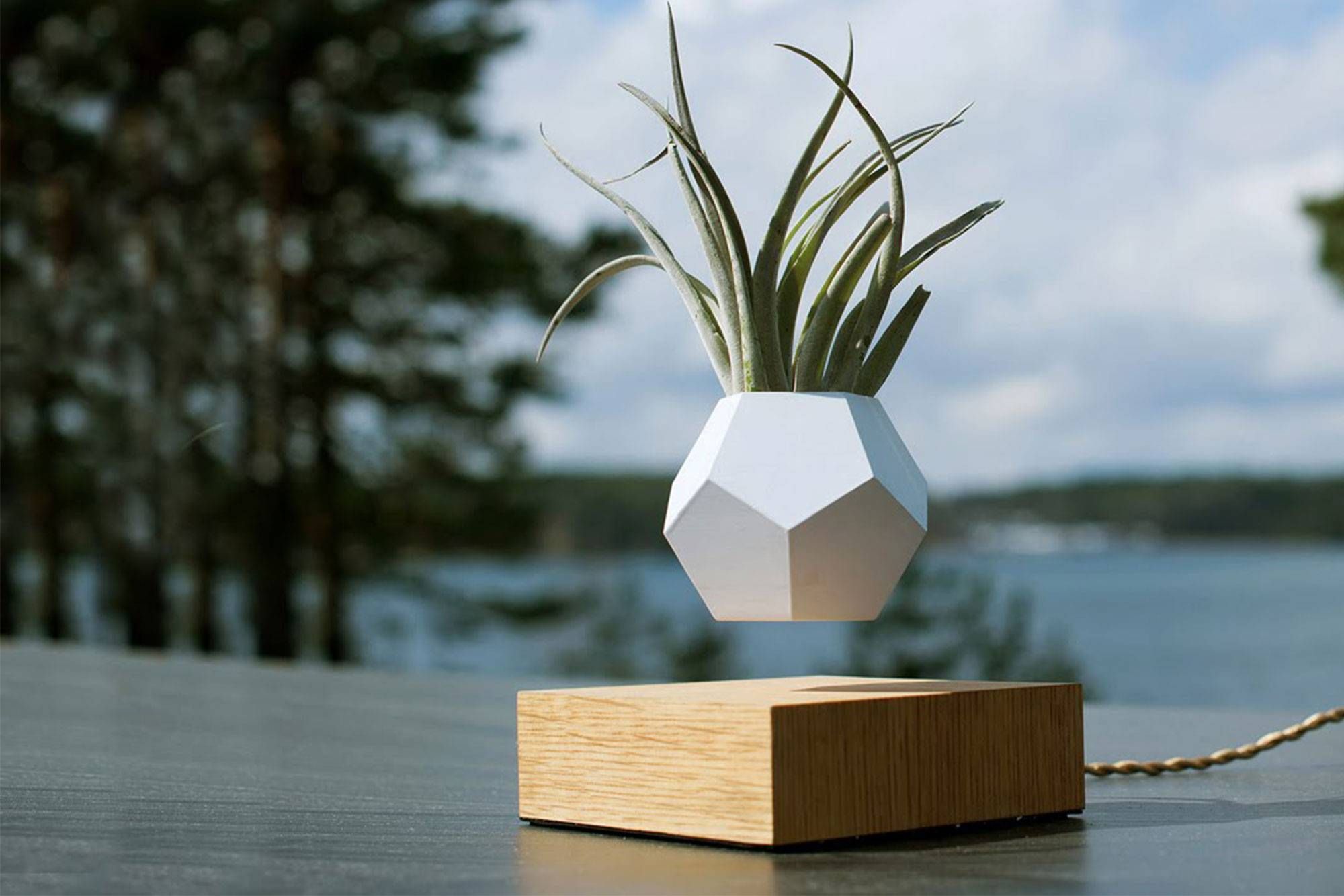 DIY Levitating Plant! 7 Steps (with Pictures) Instructables