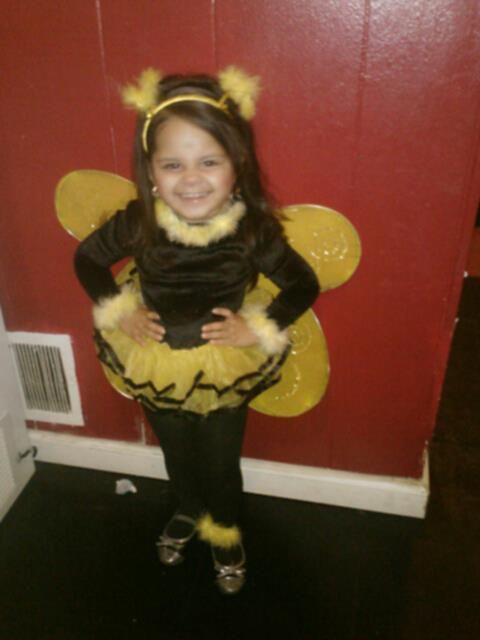 the real queen bee DIY Project DIY Project Image