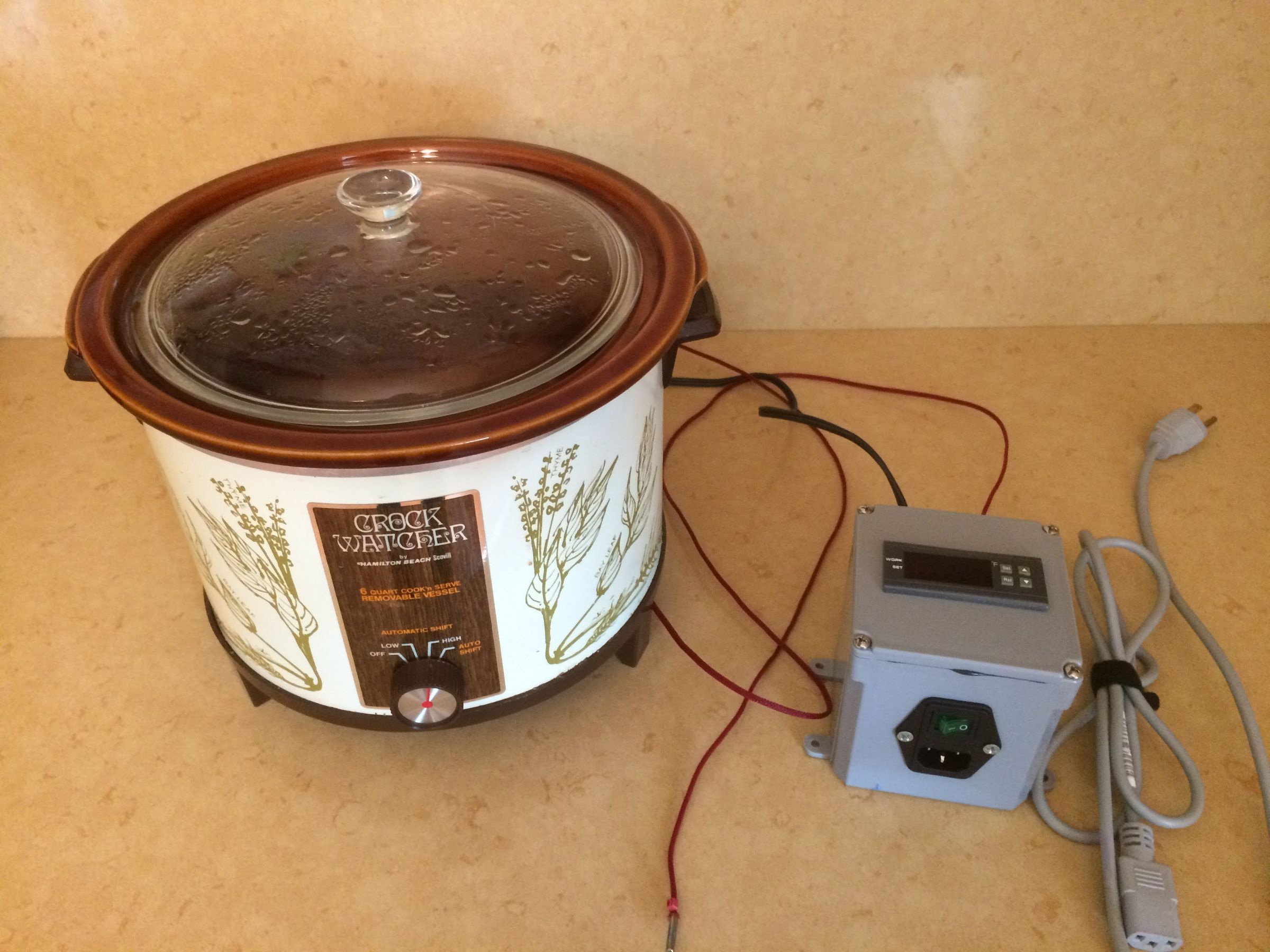 Sous Vide Cooker for Less Than $40