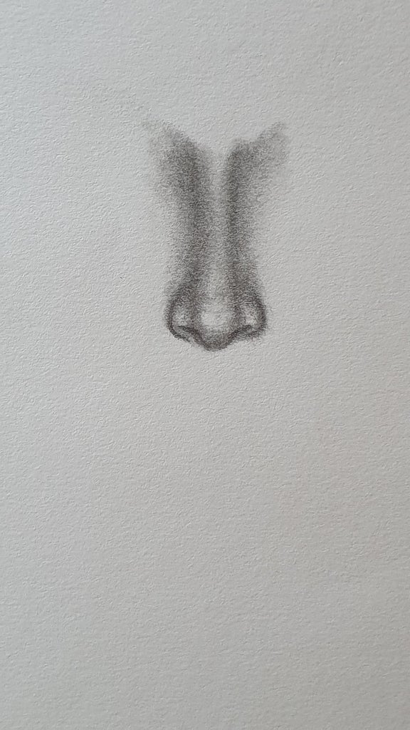 How To Draw A Realistic Nose From The Front : 8 Steps - Instructables