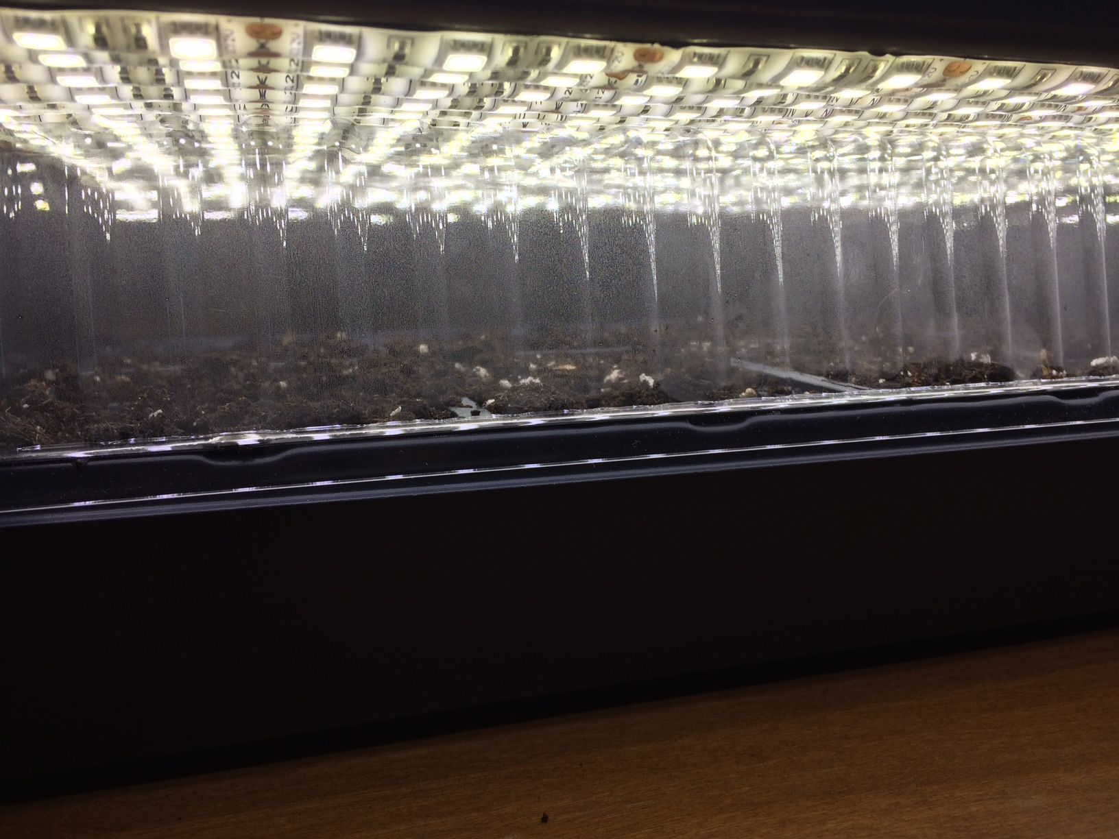 25 DIY LED Strip Grow Light 3 Steps Instructables