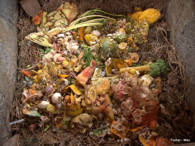 Compost