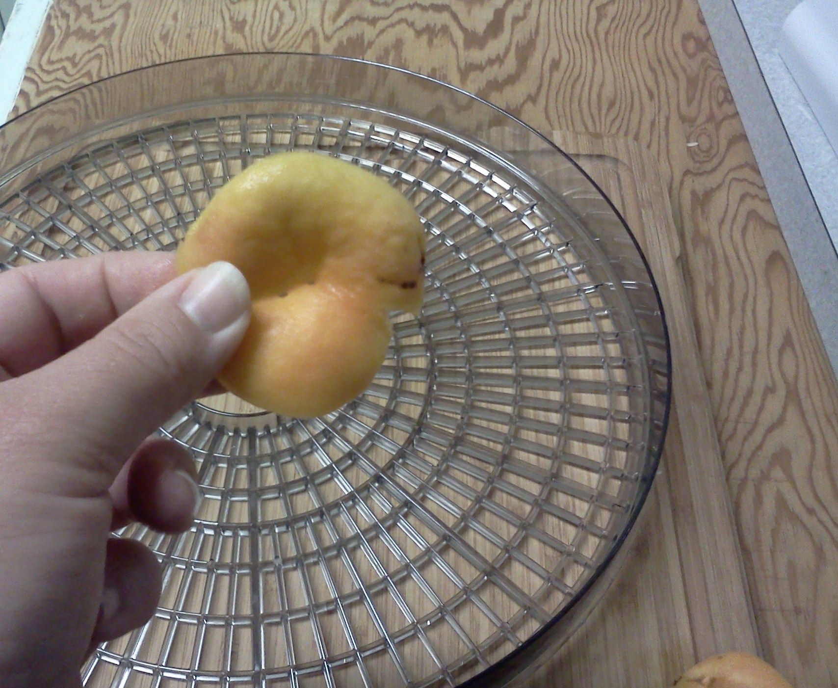 Dehydrating Apricots 4 Steps (with Pictures) Instructables