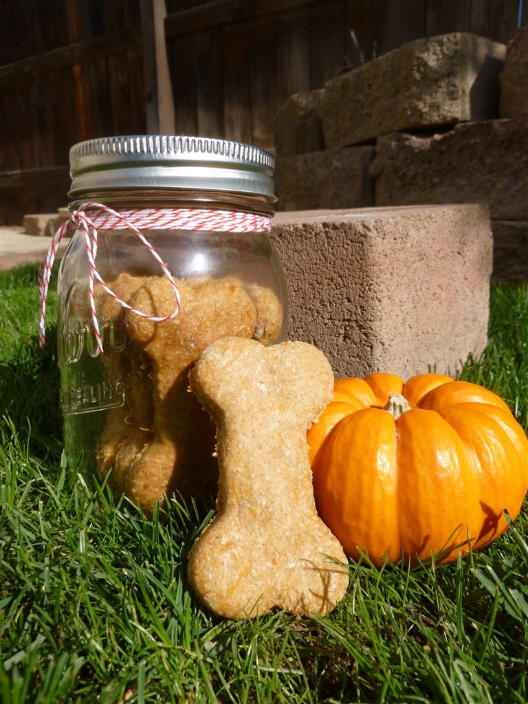 Pumpkin & Peanut Butter Flavored Dog Treats 6 Steps (with Pictures