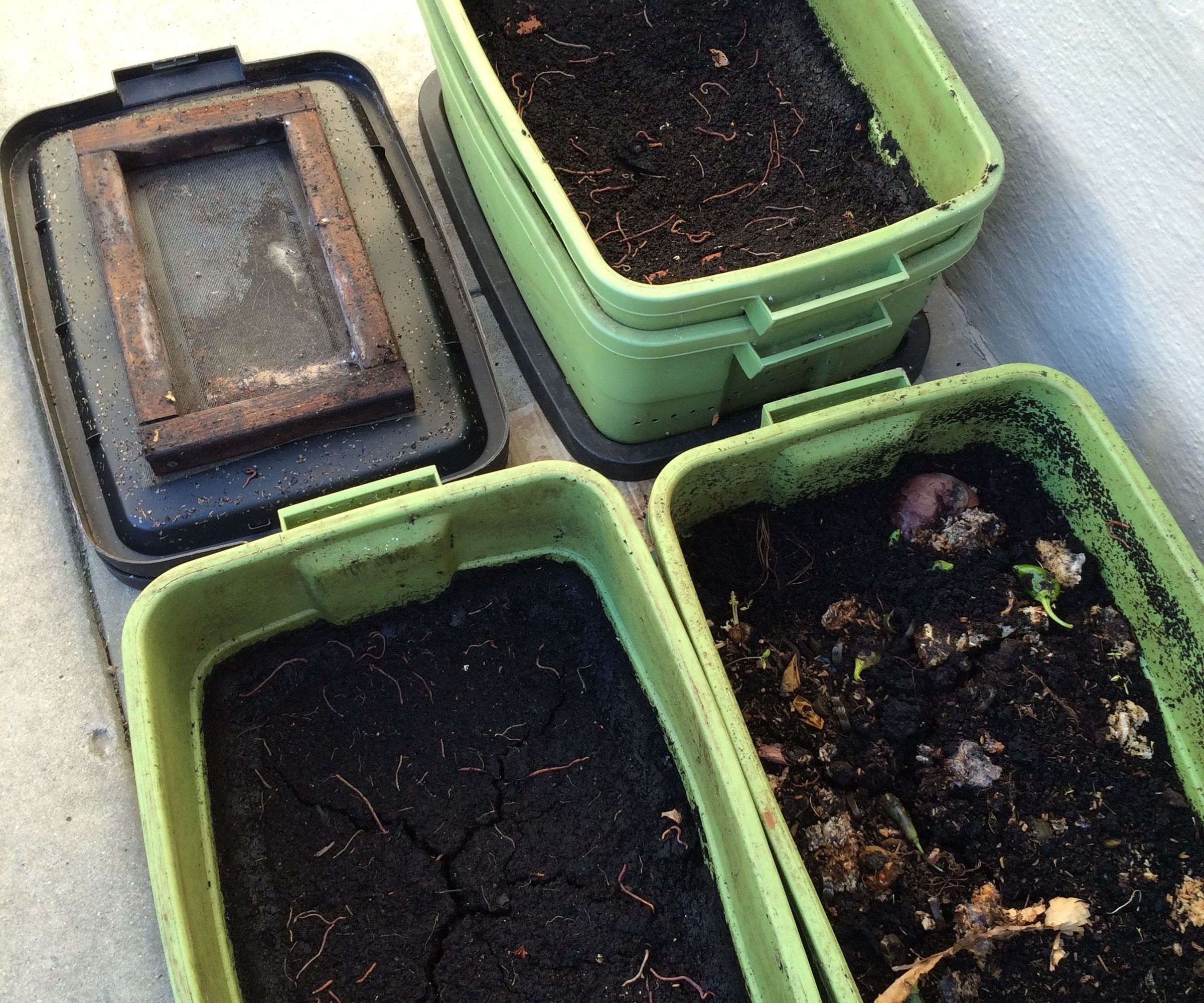 Make "Black Gold" With DIY Worm Compost Bins