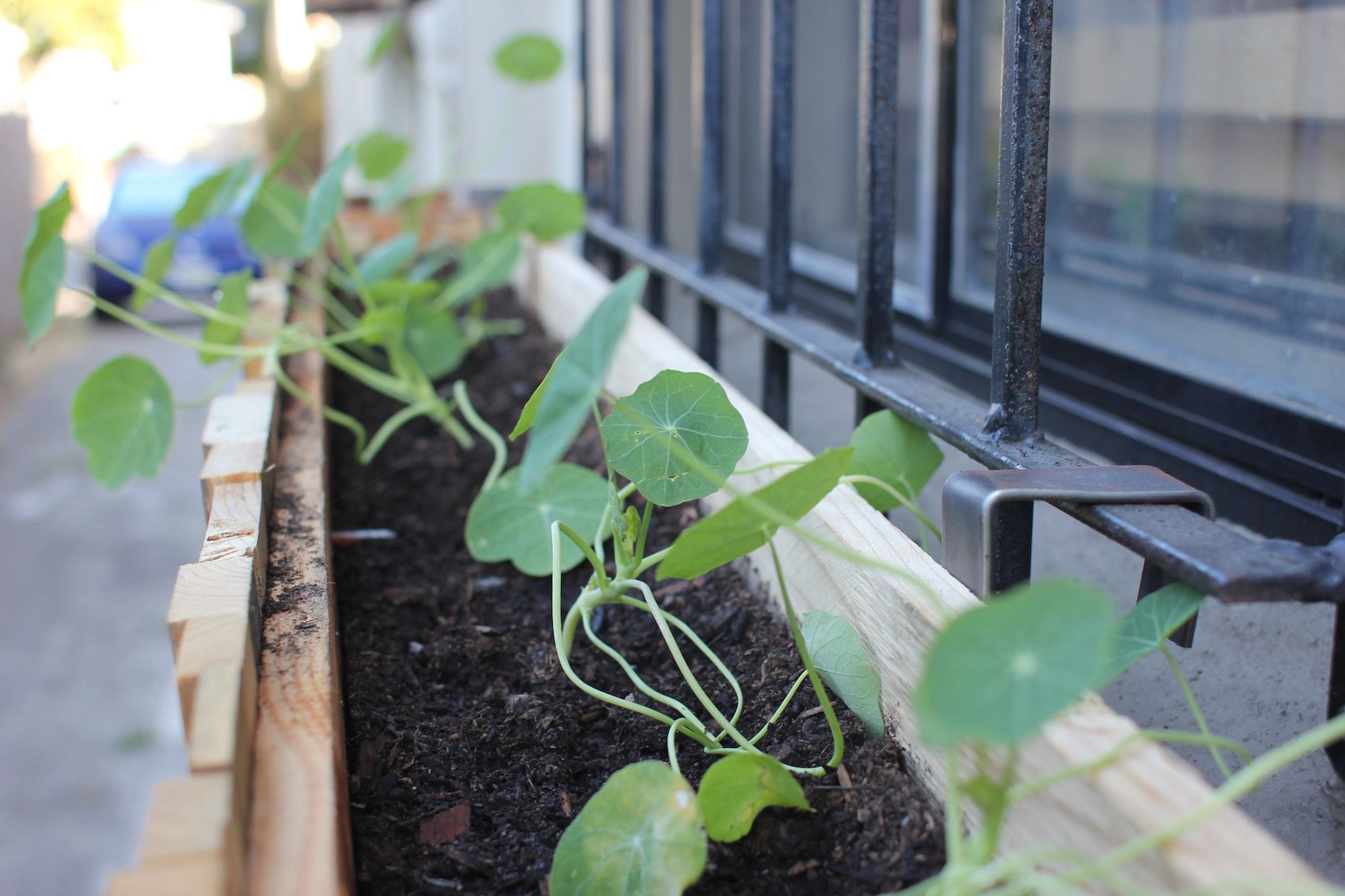 Planter Boxes for Windows With Bars 10 Steps (with Pictures