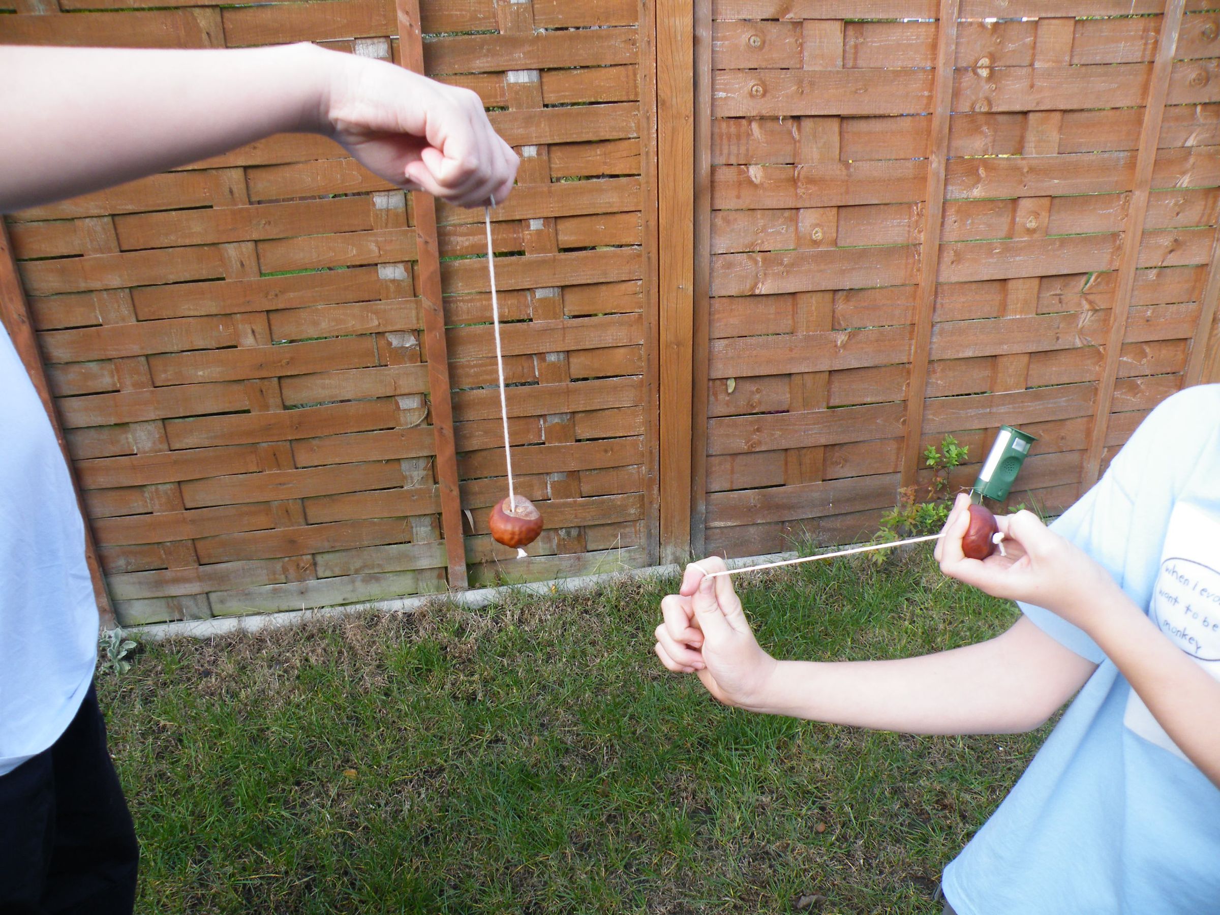 How To Play Conkers 7 Steps With Pictures Instructables