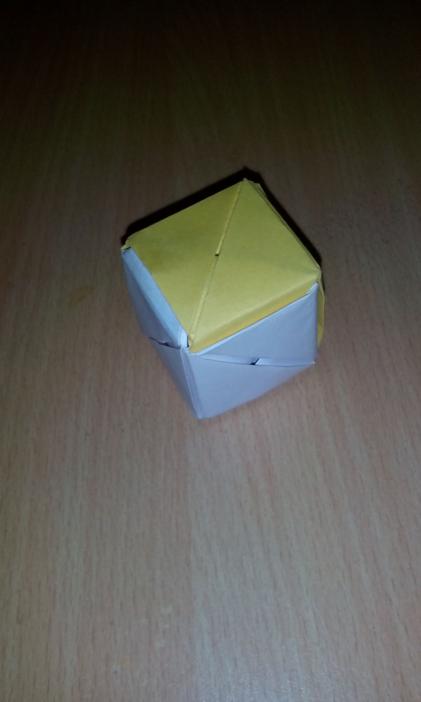 magic box rose DIY Project DIY Project Image