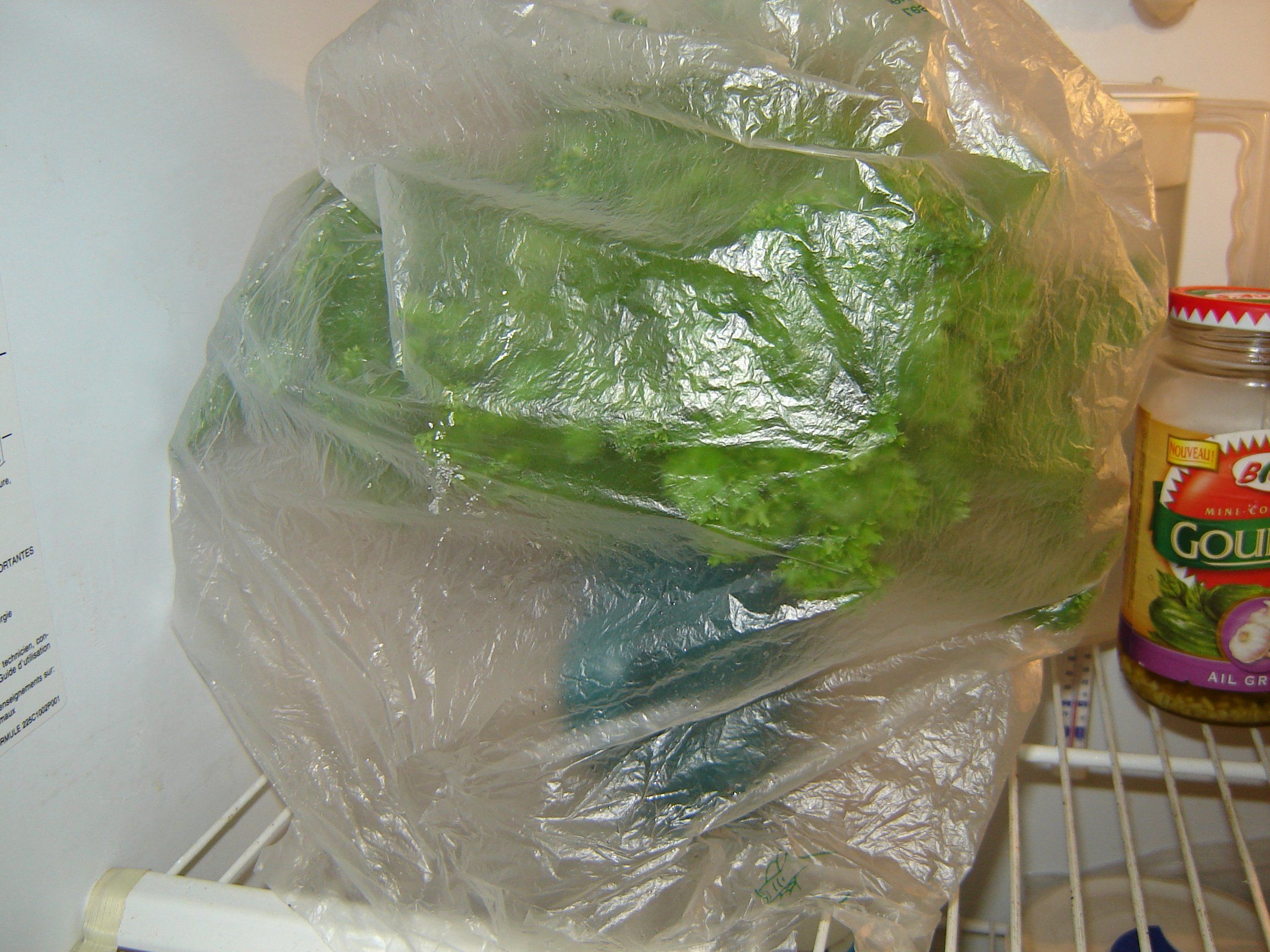 How to Keep Fresh Herbs Fresh 4 Steps (with Pictures) Instructables