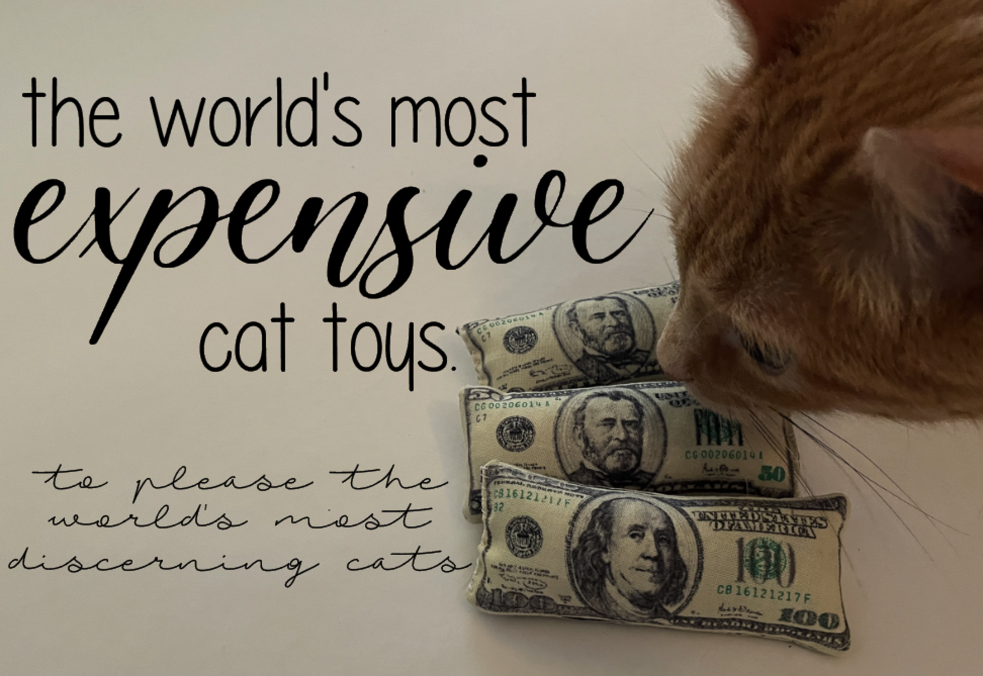 The World's Most Expensive Cat Toys 6 Steps (with Pictures