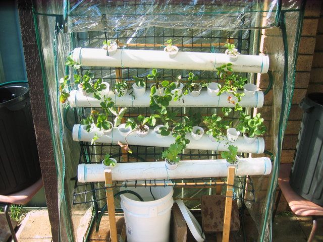 Hydroponic Food Factory : 26 Steps (with Pictures) - Instructables
