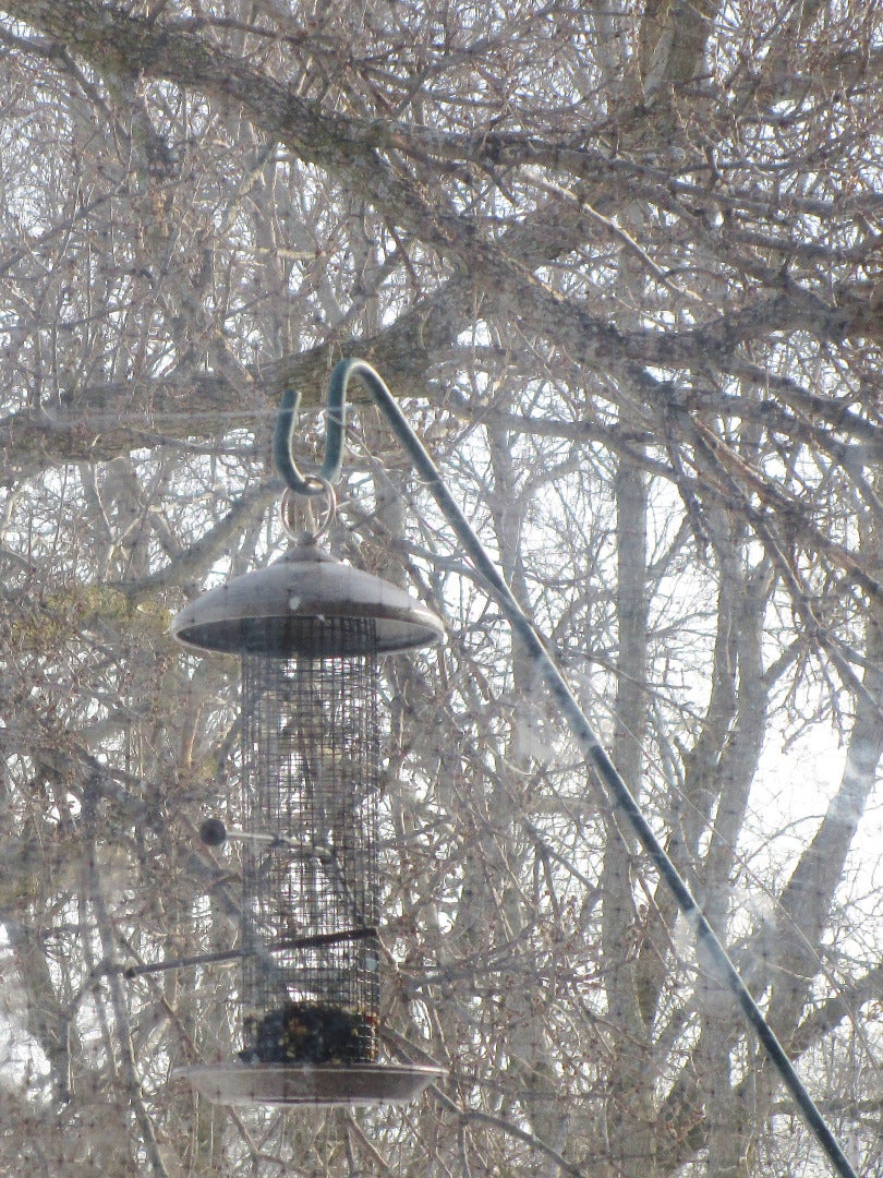 BirdStrike Prevention 7 Steps (with Pictures) Instructables