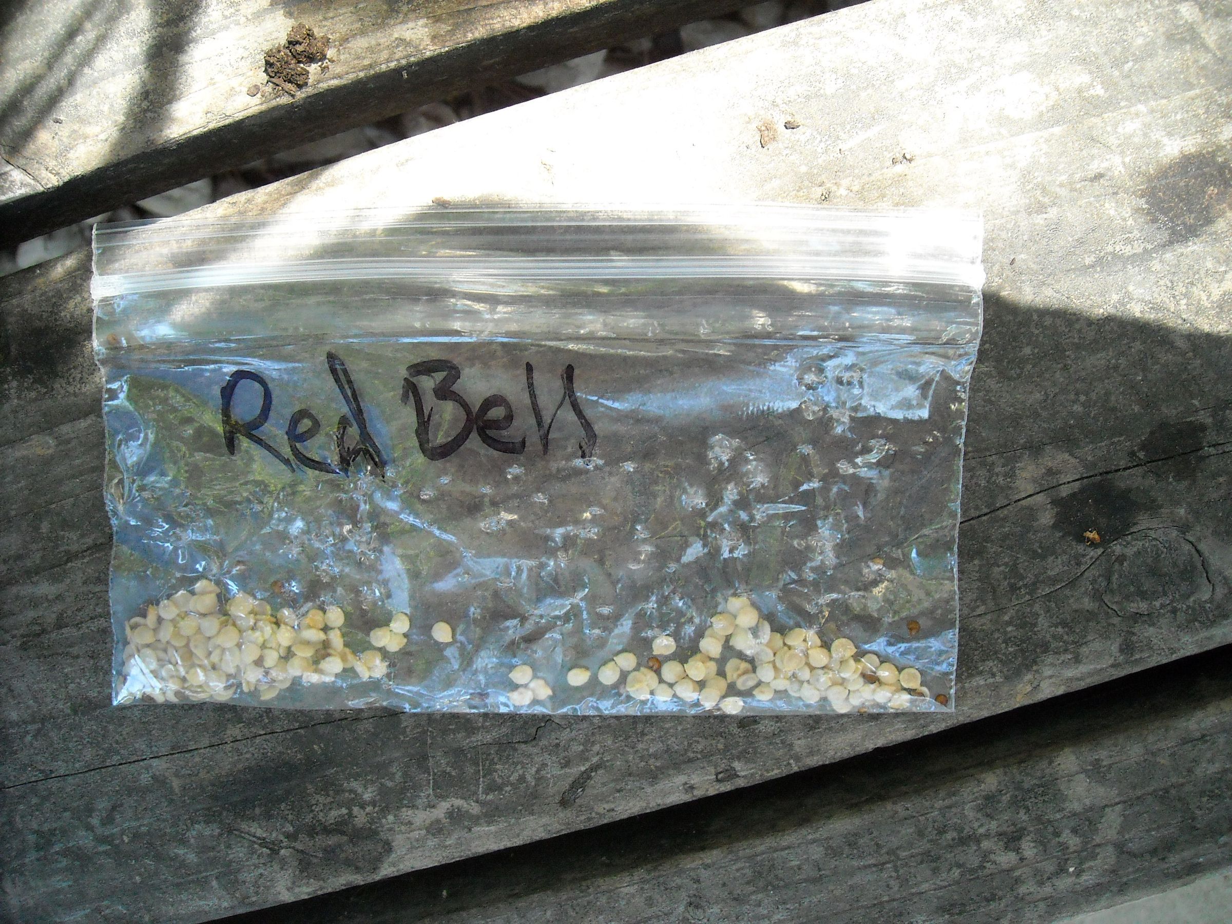 How to Grow Peppers! Propagating Peppers! 10 Steps (with Pictures