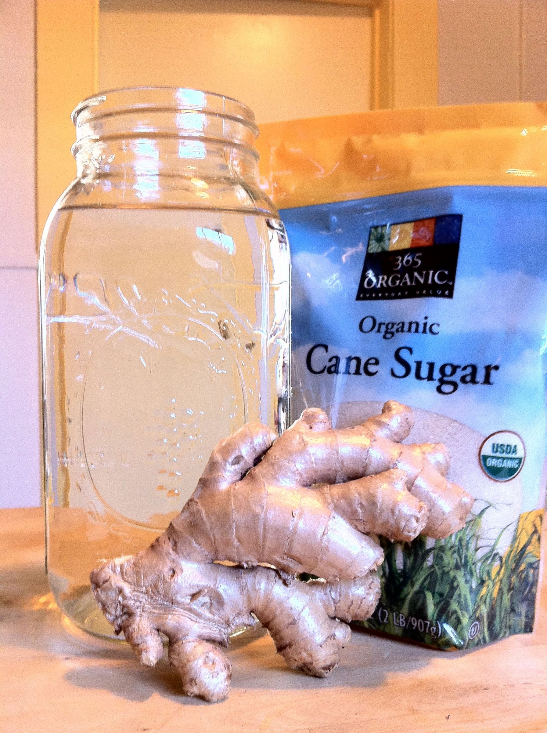 Making a Probiotic Ginger Beer 3 Steps (with Pictures) Instructables