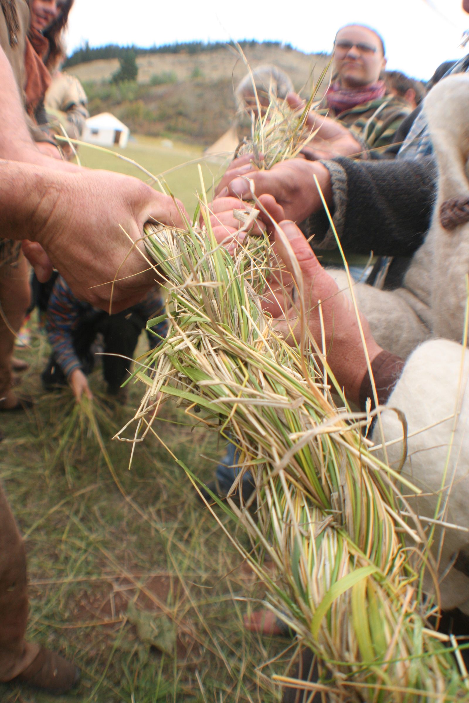 Make a TugOWar Rope Out of Grass by Thomas J. Elpel 6 Steps (with