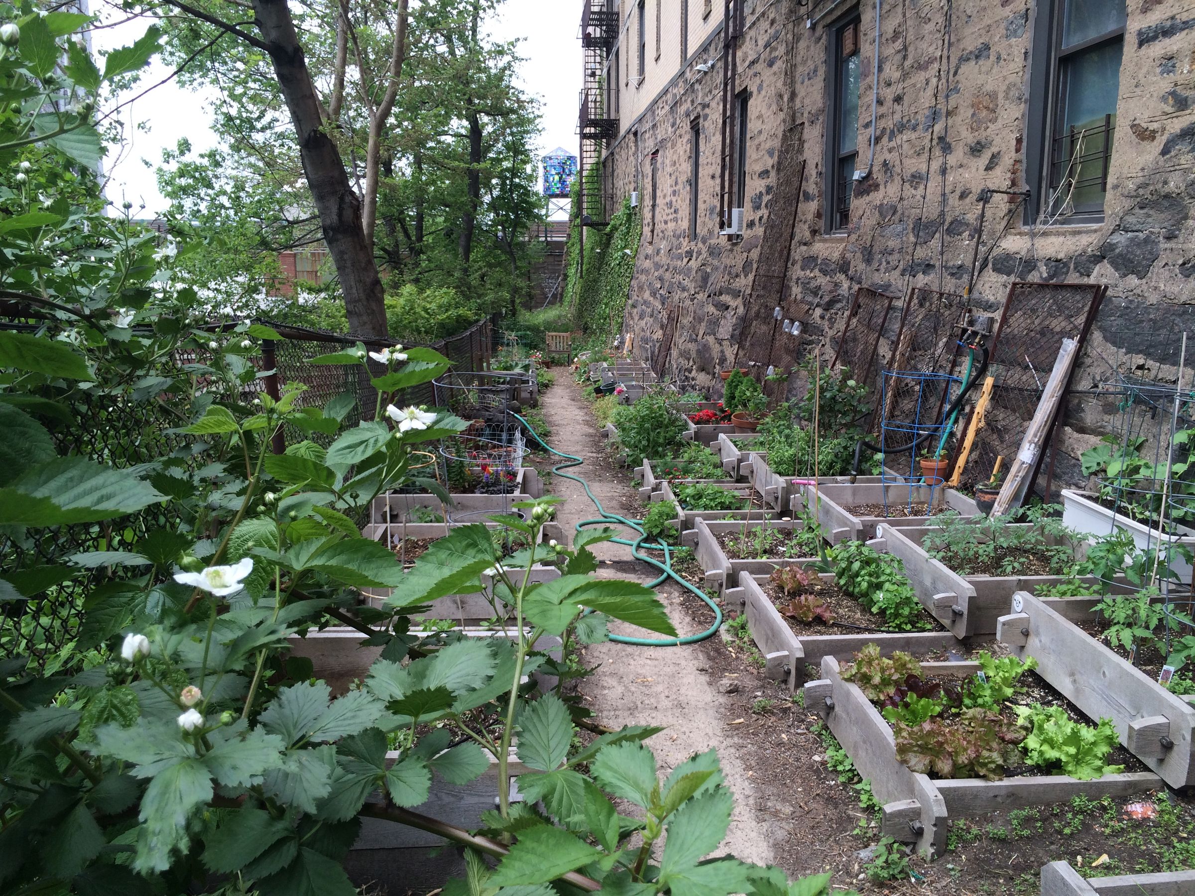 Build a Community Garden 8 Steps (with Pictures) Instructables