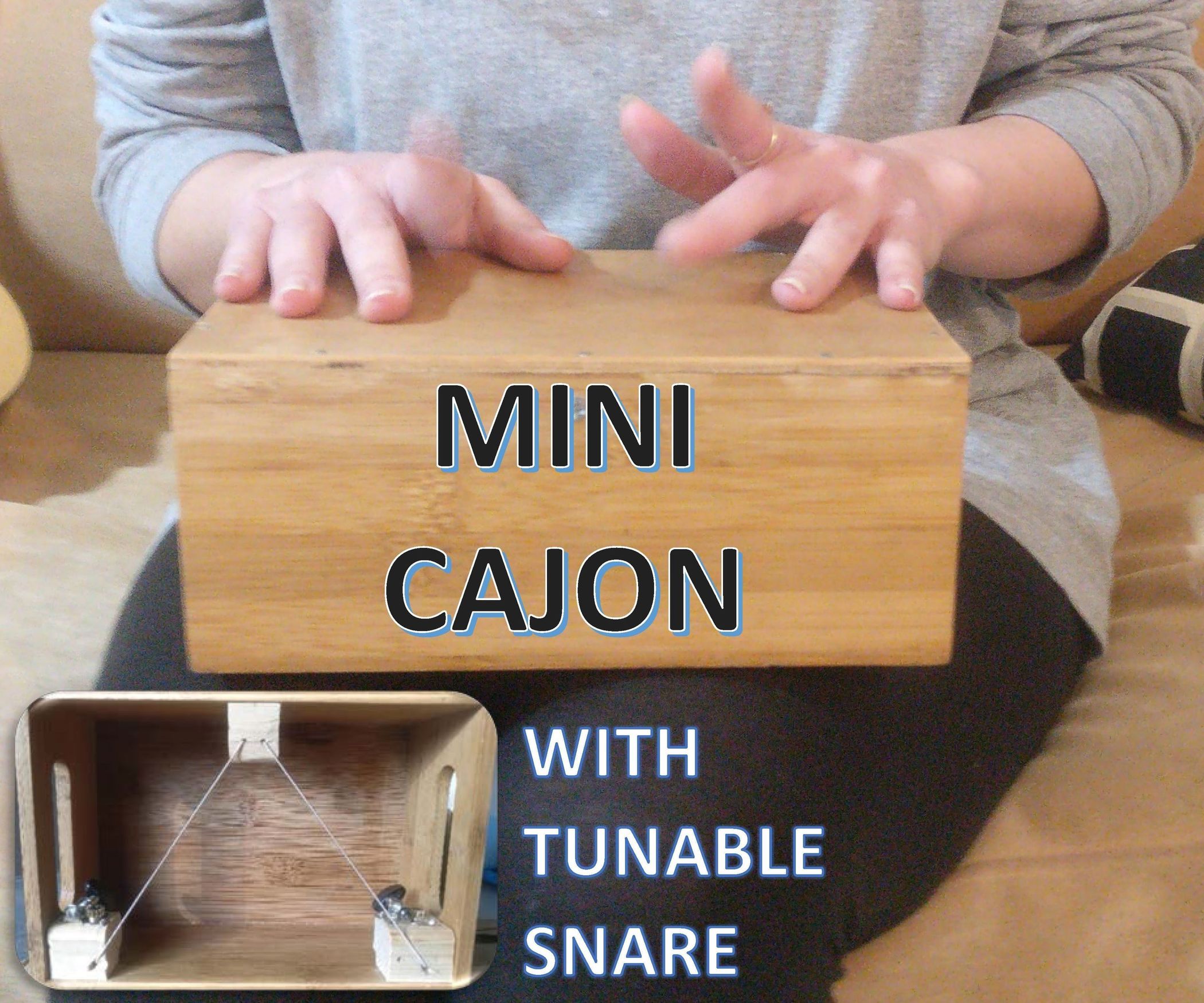 Mini Cajon With Tunable Snare! 4 Steps (with Pictures) Instructables