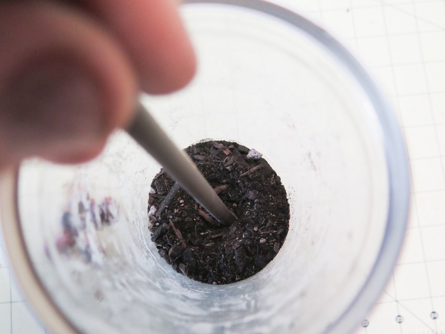 SelfWatering Terrarium! 7 Steps (with Pictures) Instructables