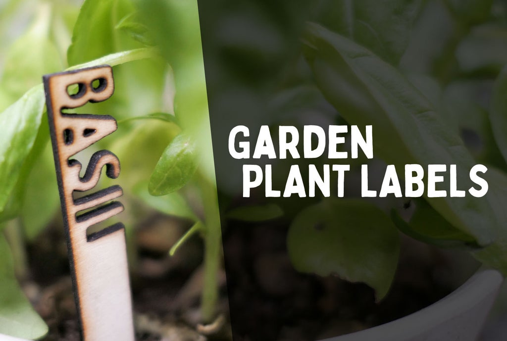 3D Garden Plant Labels : 11 Steps (with Pictures) - Instructables