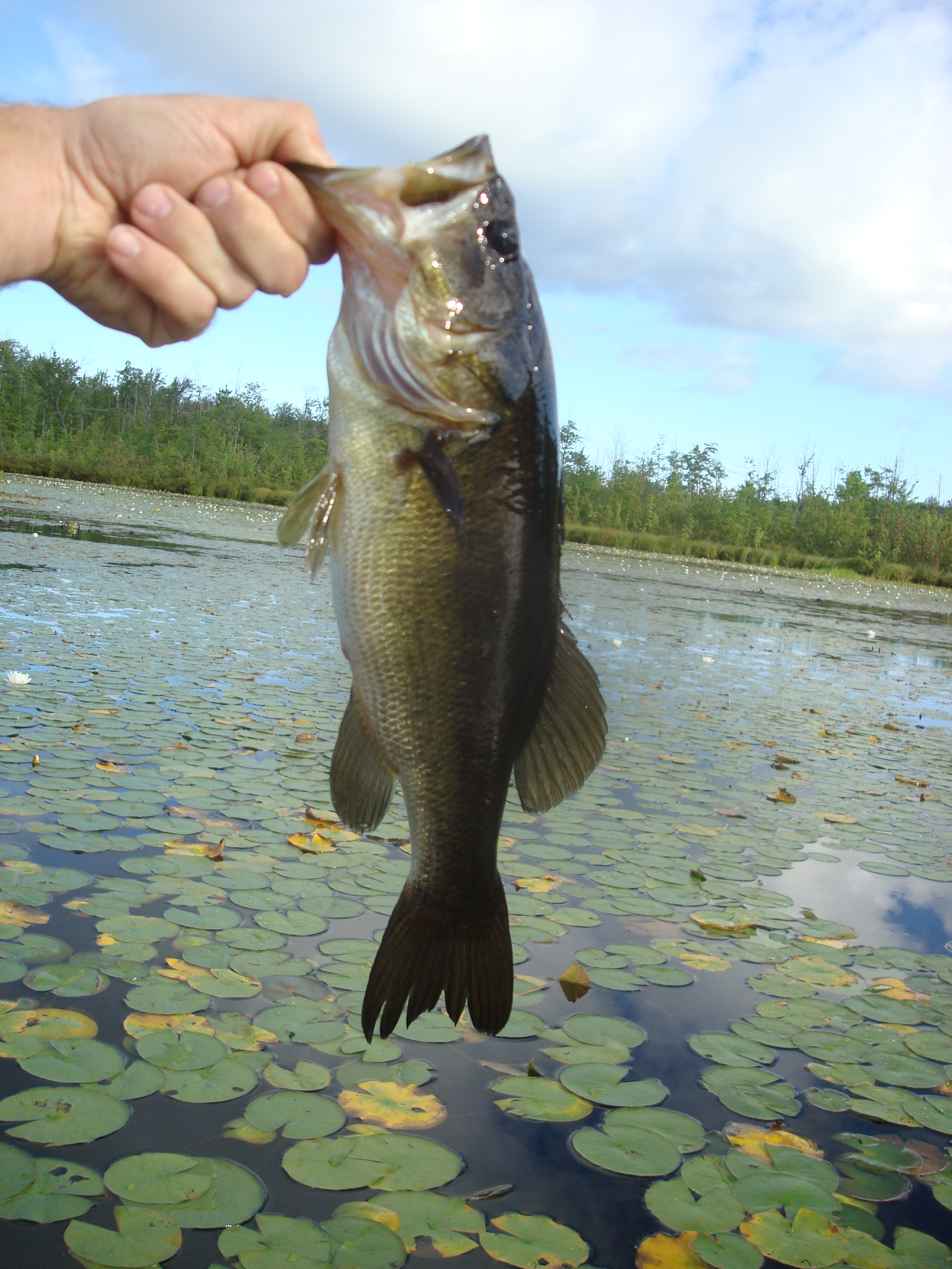 making your own fishing lures