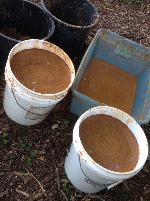 Comece a remover a água limpa do topo...