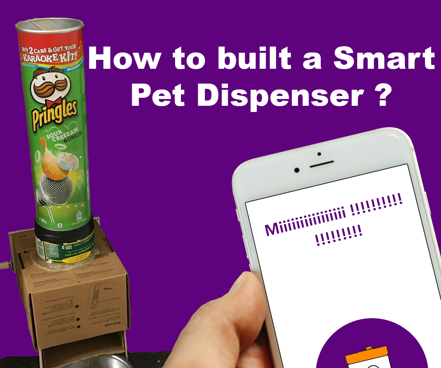 Automatic Cat Feeder