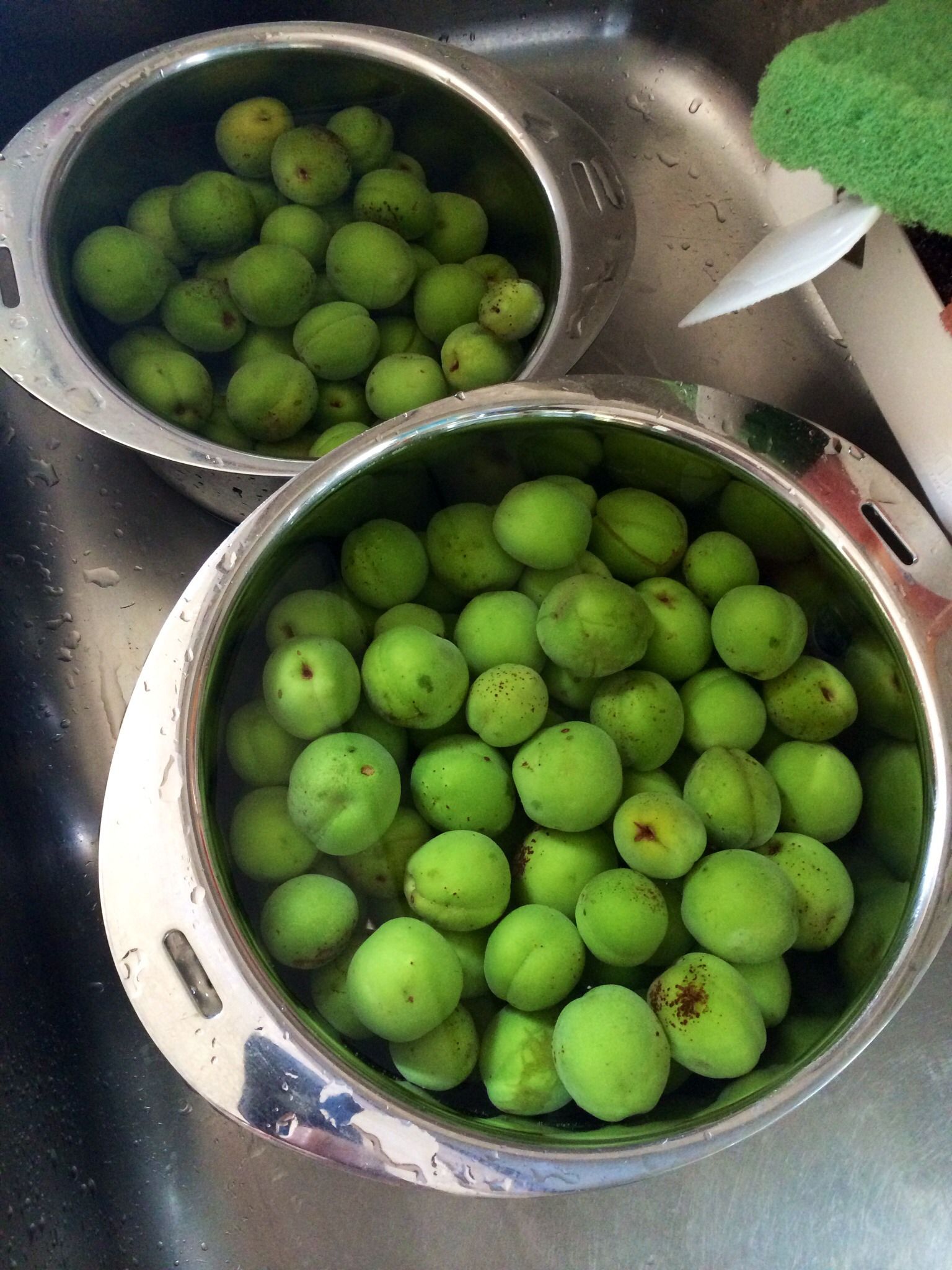 梅酒の作り方 Plum Wine 5 Steps With Pictures Instructables