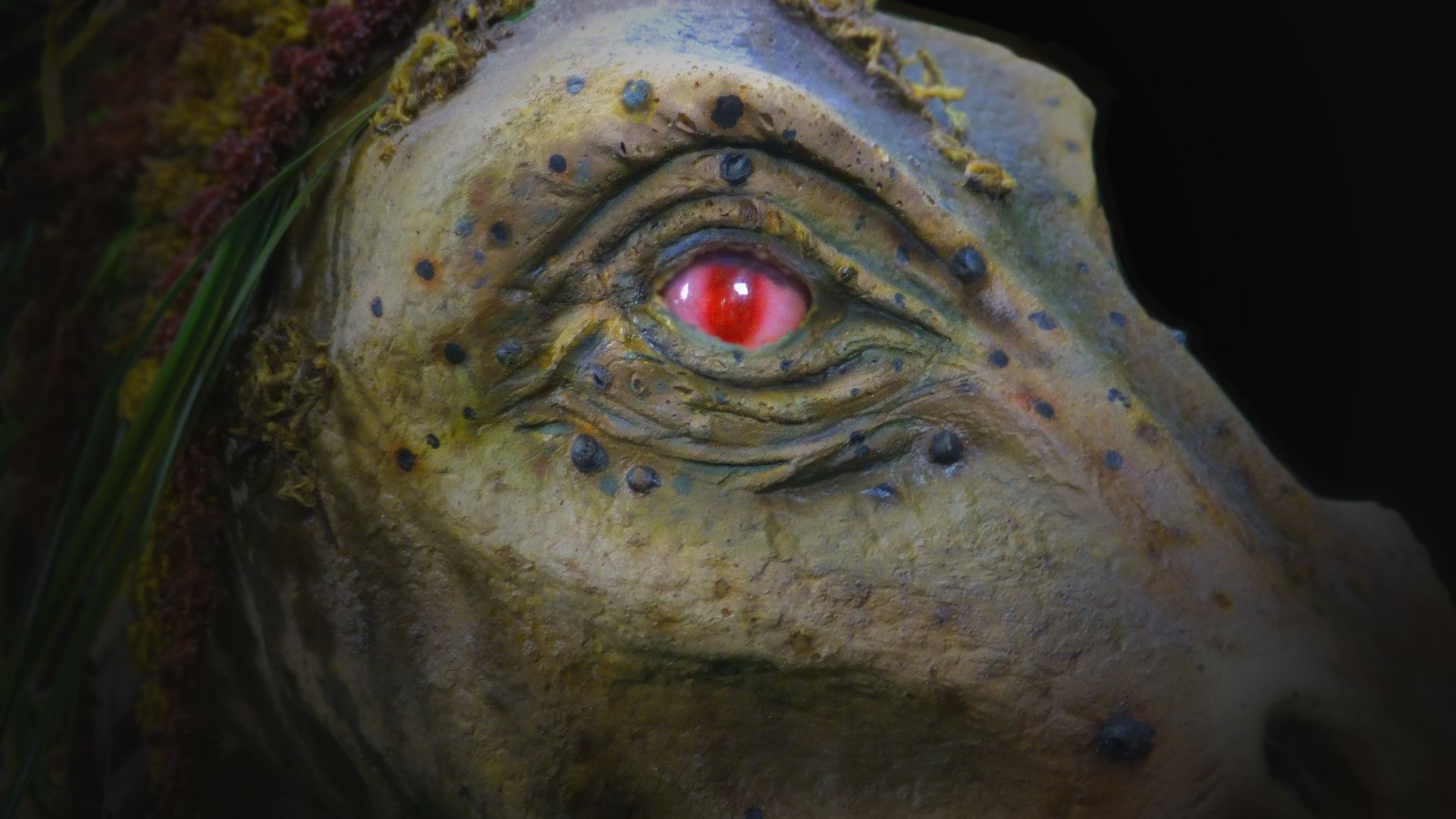 the "wise" creature DIY Project DIY Project Image