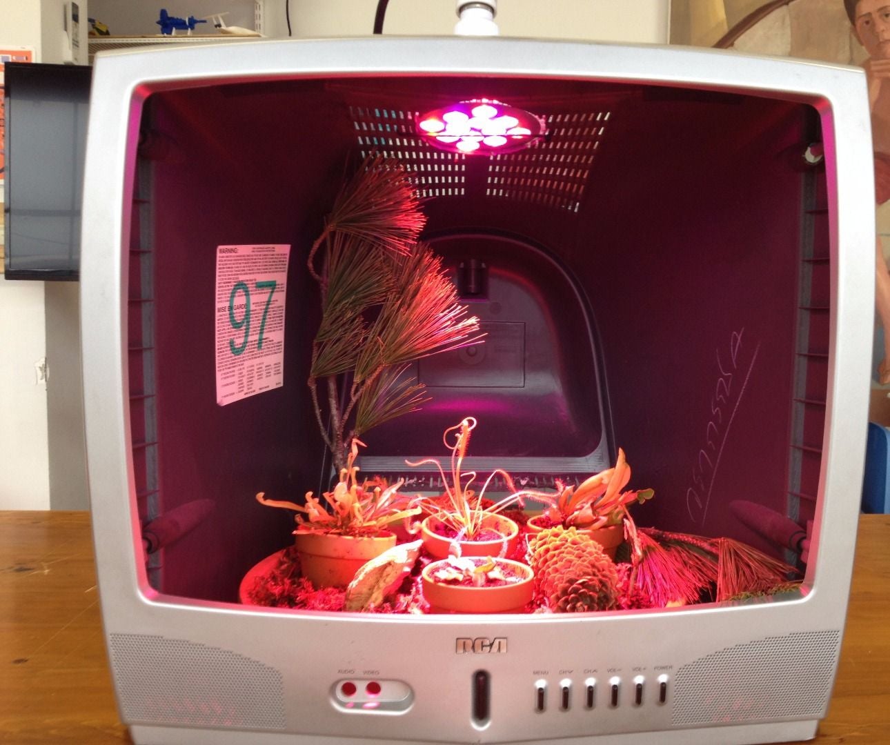 Full Spectrum Carnivorous Plant Terrarium in an Old TV 9 Steps