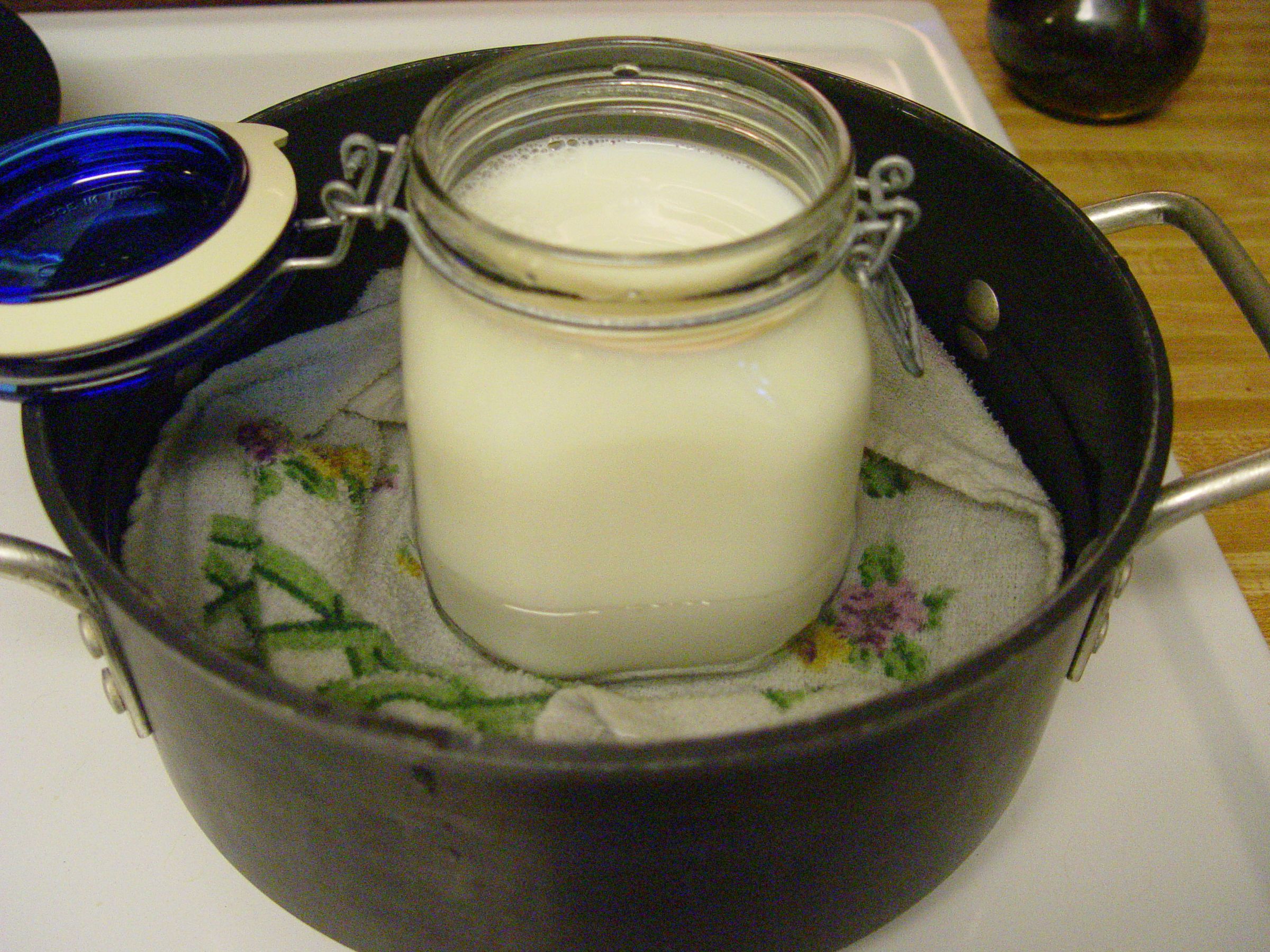 No Mess Yogurt Making 7 Steps (with Pictures) Instructables