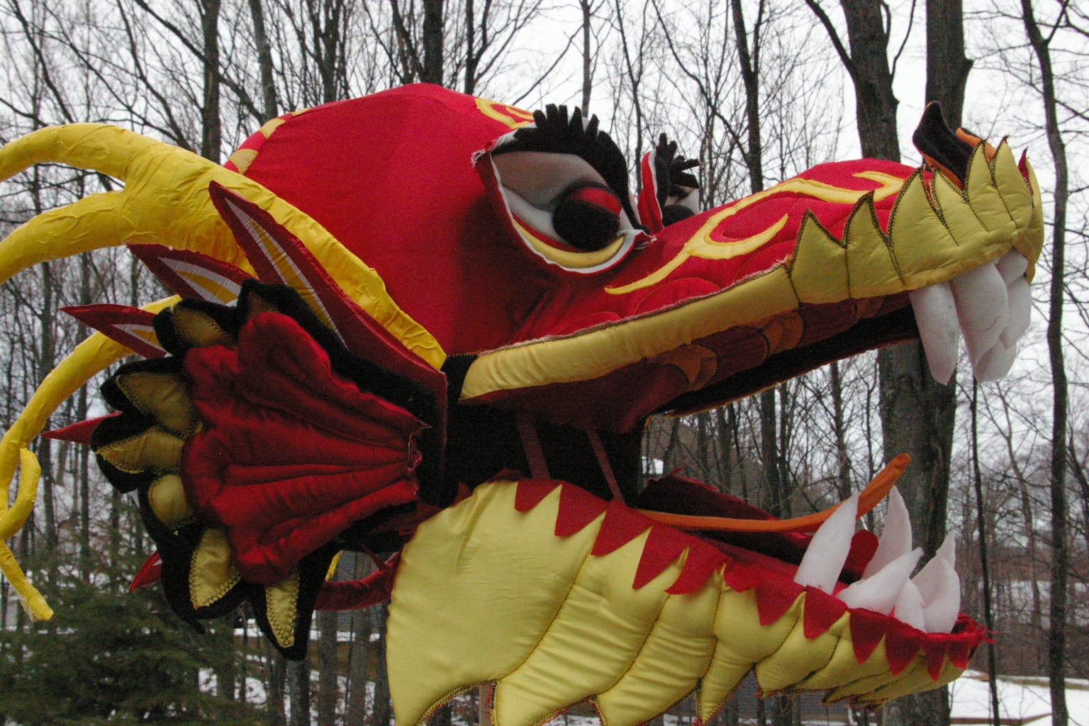 Make a Chinese Dragon Head : 4 Steps (with Pictures) - Instructables