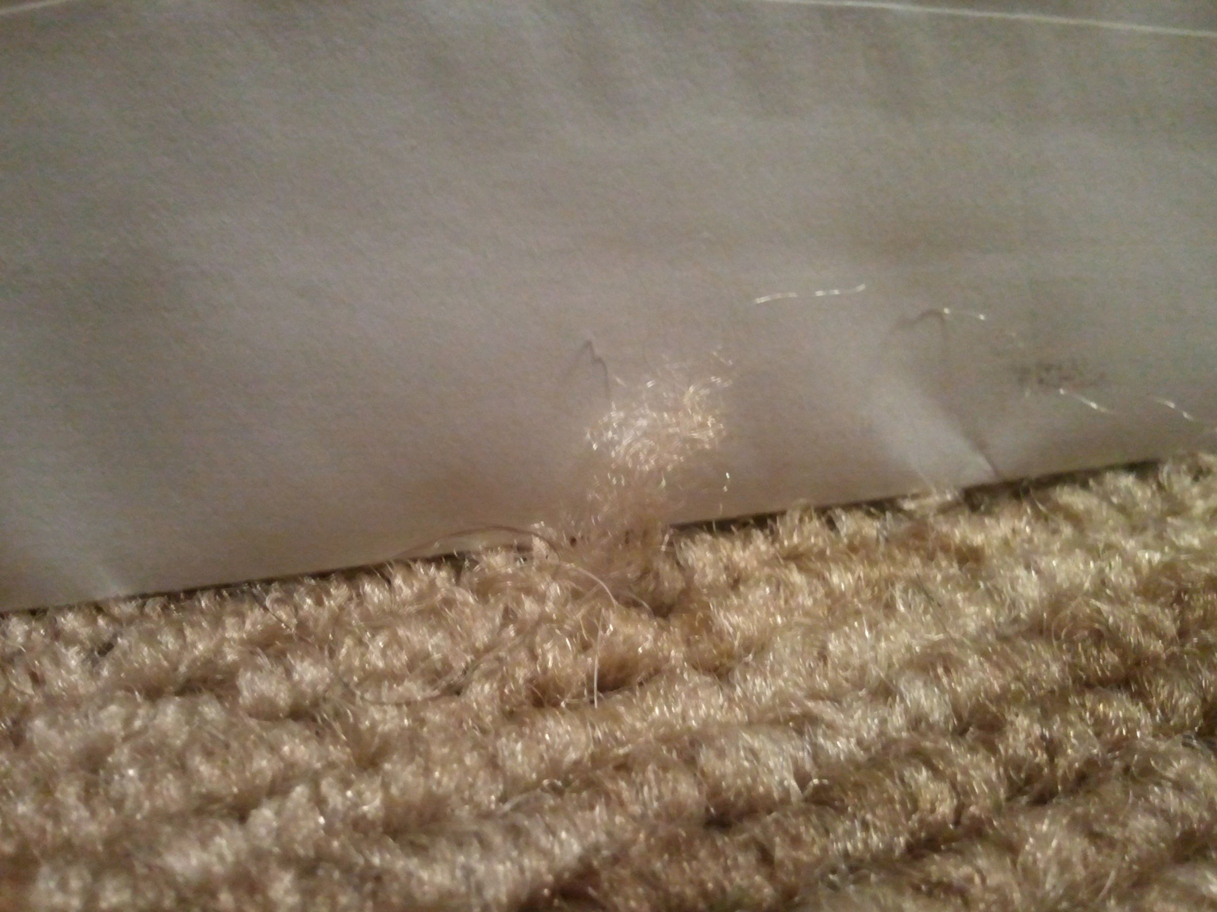 Fix a Snag in a Rug 5 Steps (with Pictures) Instructables