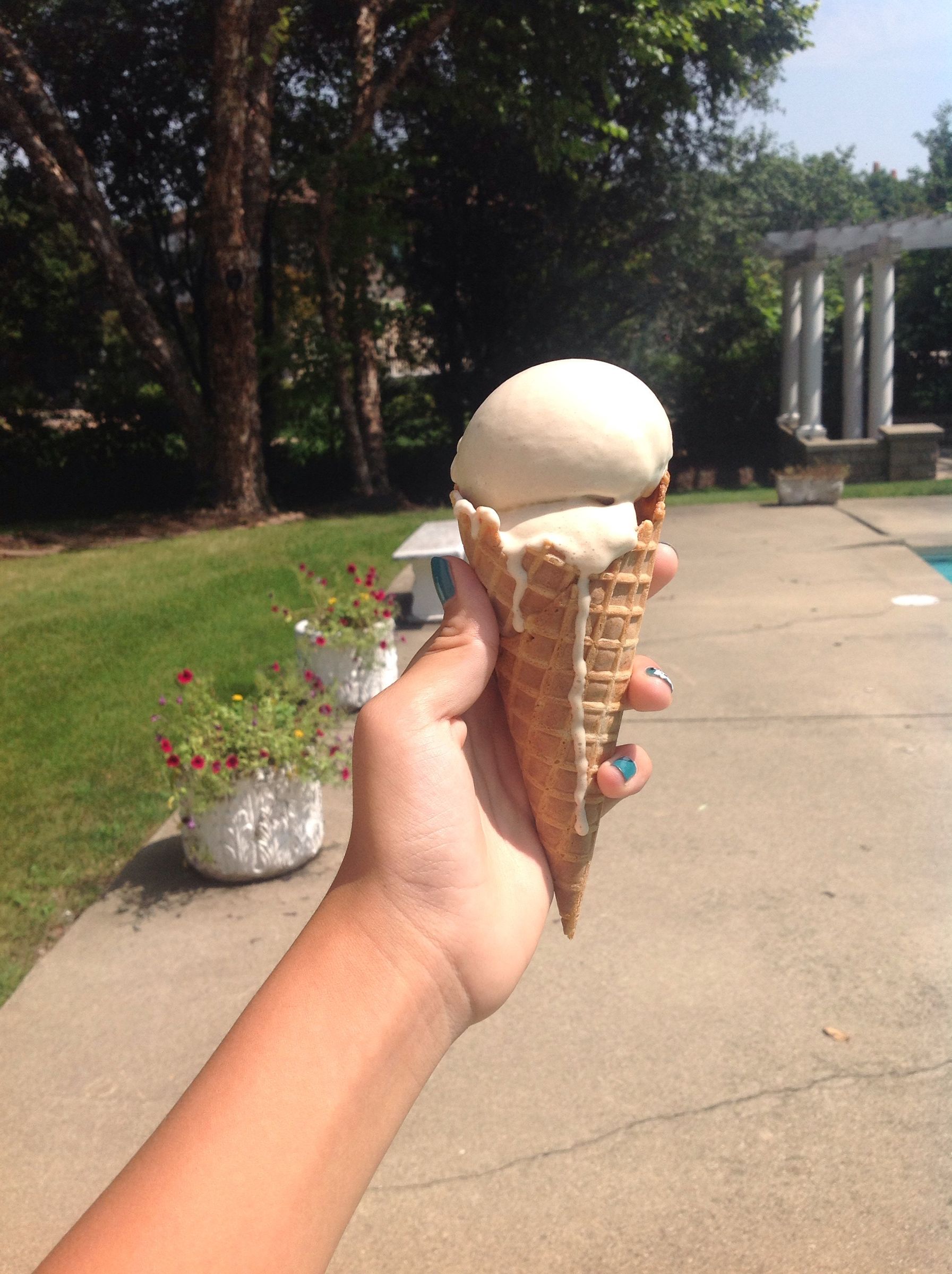 Beer Ice Cream 6 Steps (with Pictures) Instructables