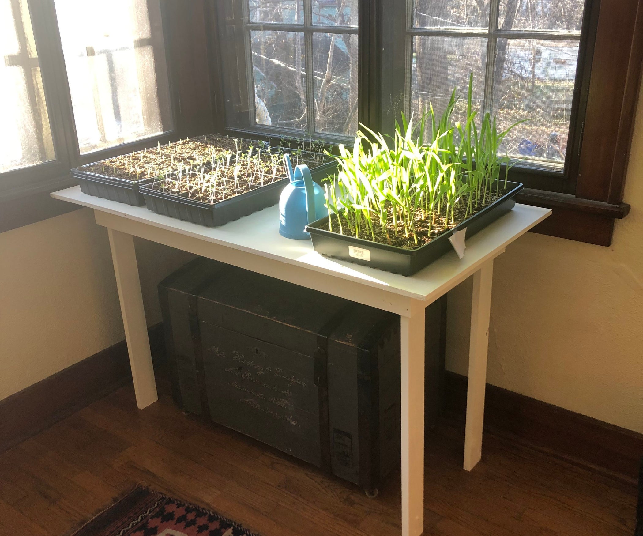 Simple Indoor Plant Table 3 Steps Instructables