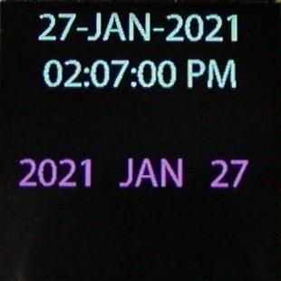 Set Date Panel