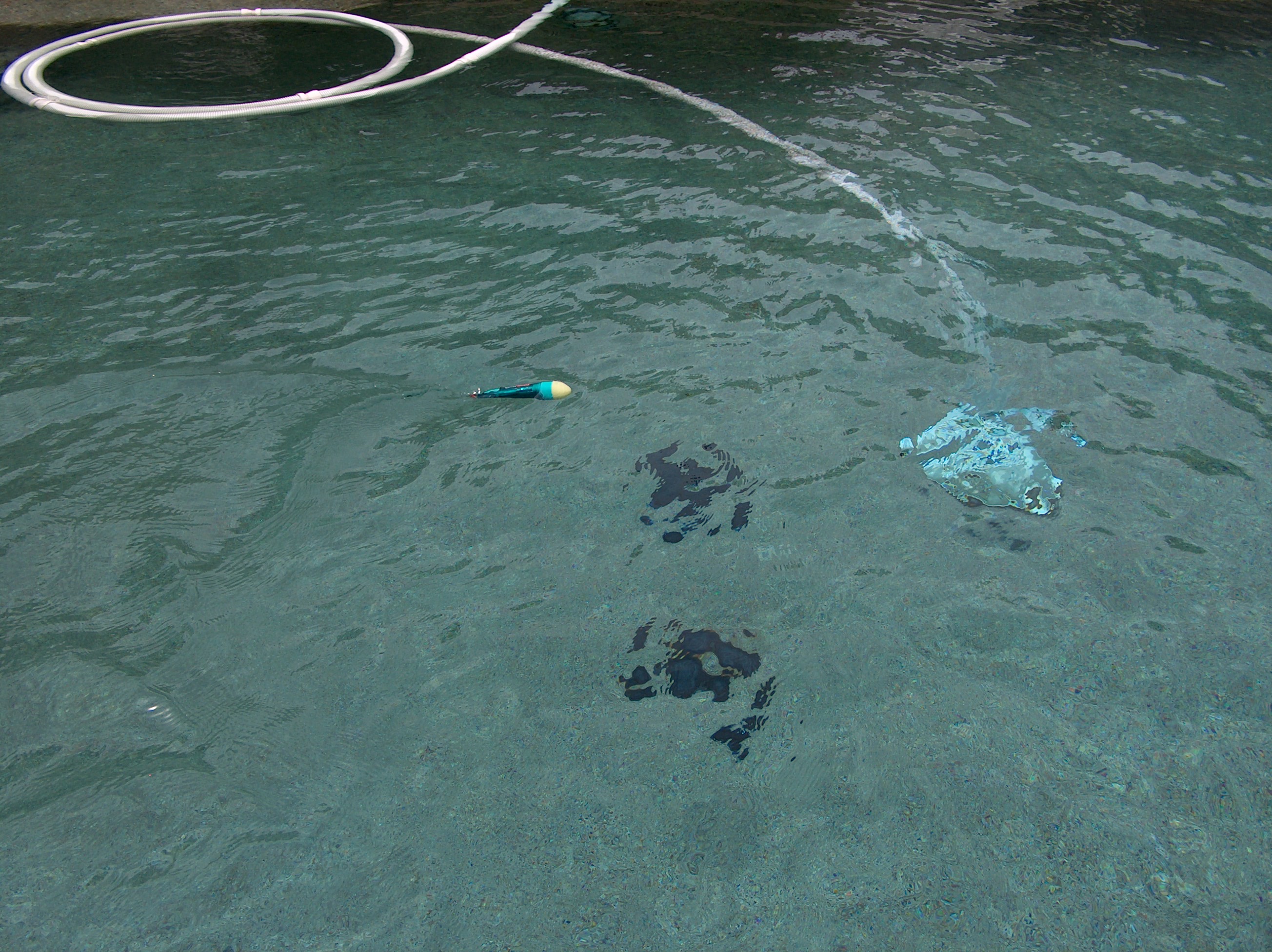 How to Turn a Toothbrush Into a Torpedo! 4 Steps Instructables