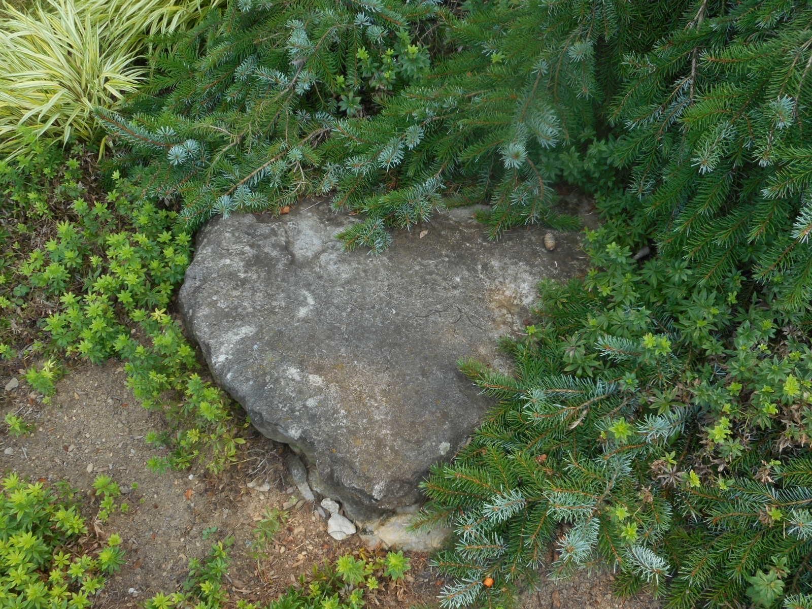 Faux Fossils (Fake Fossils) for Your Garden 7 Steps (with Pictures