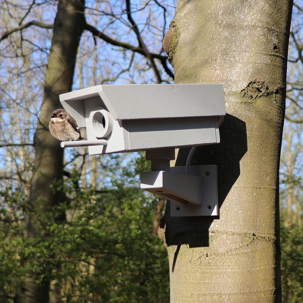 Fake Security Camera Birdhouse Made From Scrapwood 5 Steps (with Pictures) Instructables
