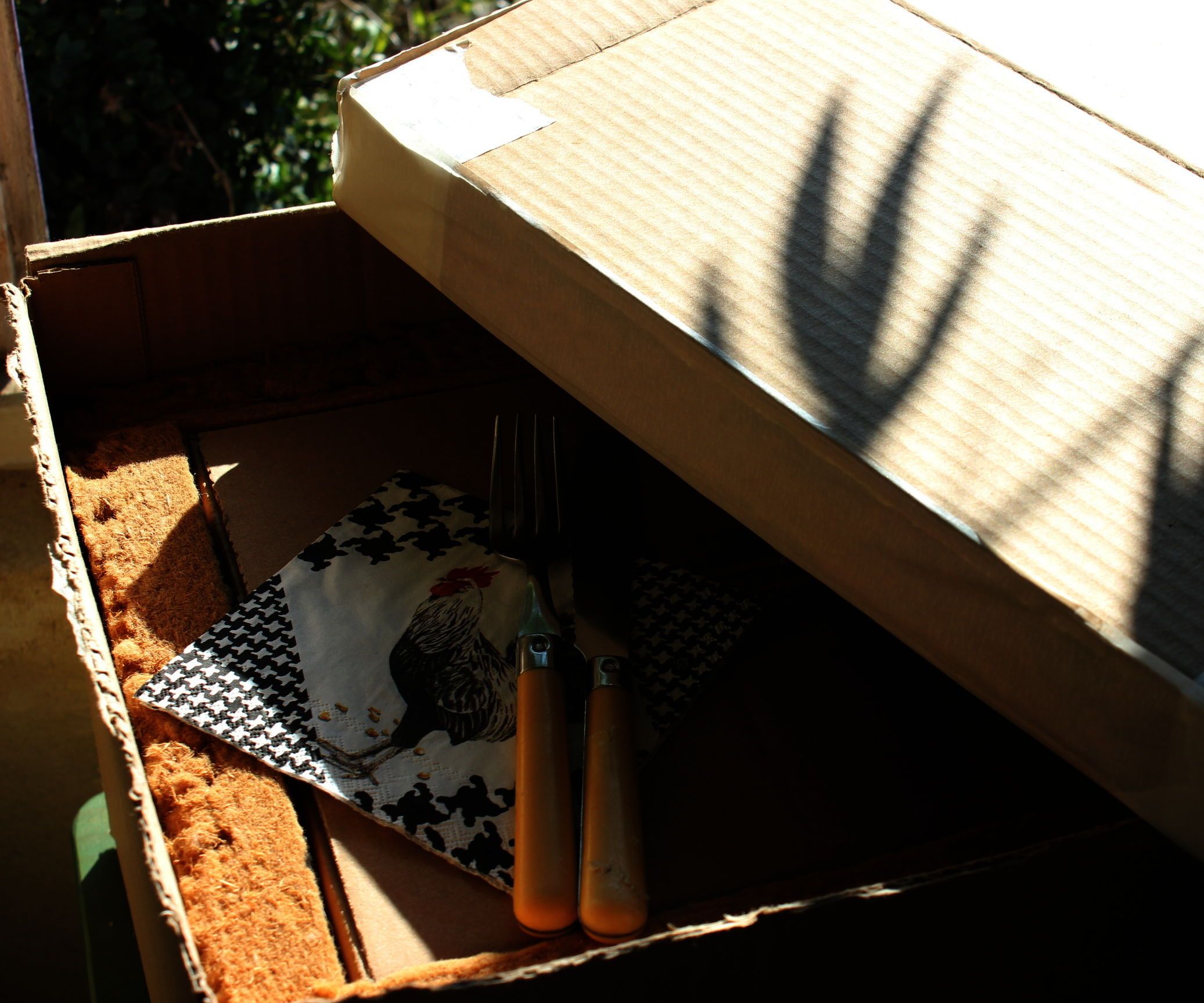 Cardboard Cooker 