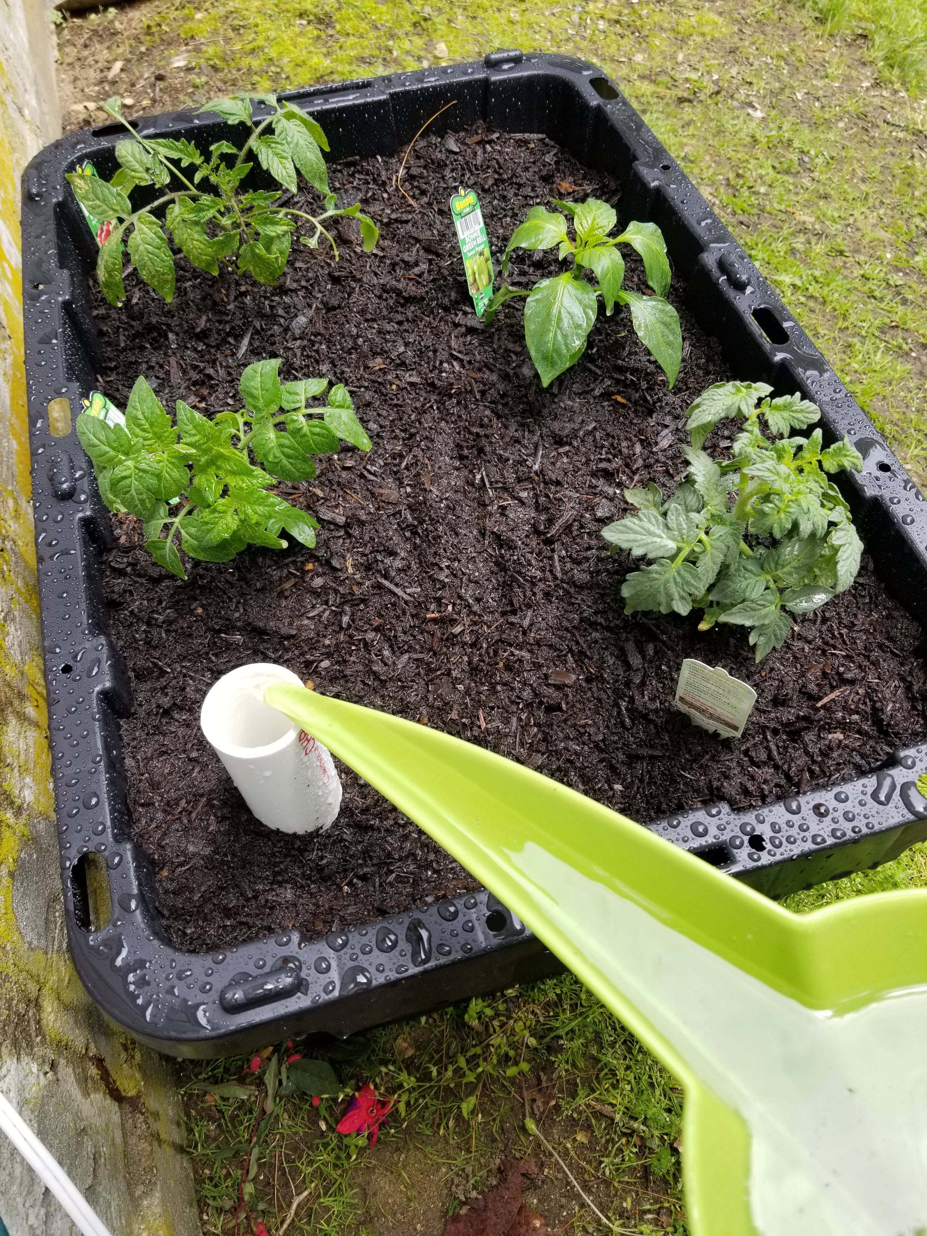 DIY Earth Box 7 Steps (with Pictures) Instructables