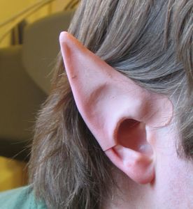 Elf Ears... in 5 Minutes! : 5 Steps (with Pictures) - Instructables