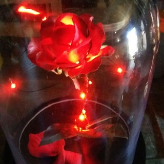 Enchanted Rose Beauty And The Beast 6 Steps With Pictures Instructables Enchanted Rose Beauty And The Beast 6 Steps With Pictures Instructables
