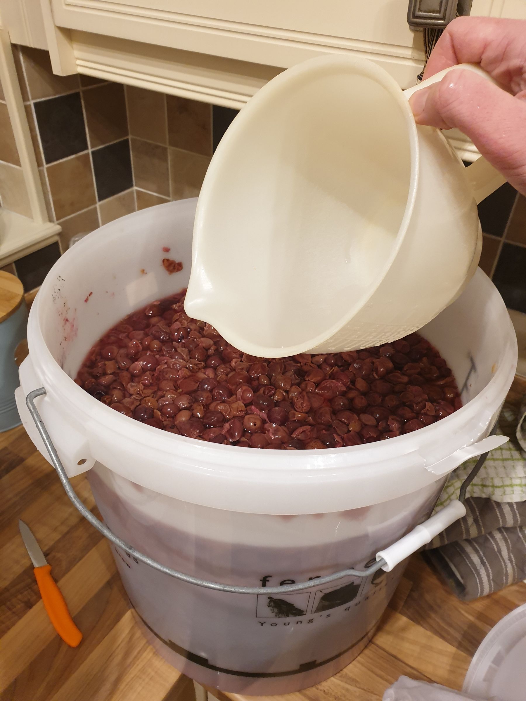 How to Make Your Own Wine From Grapes at Home 20 Steps (with Pictures