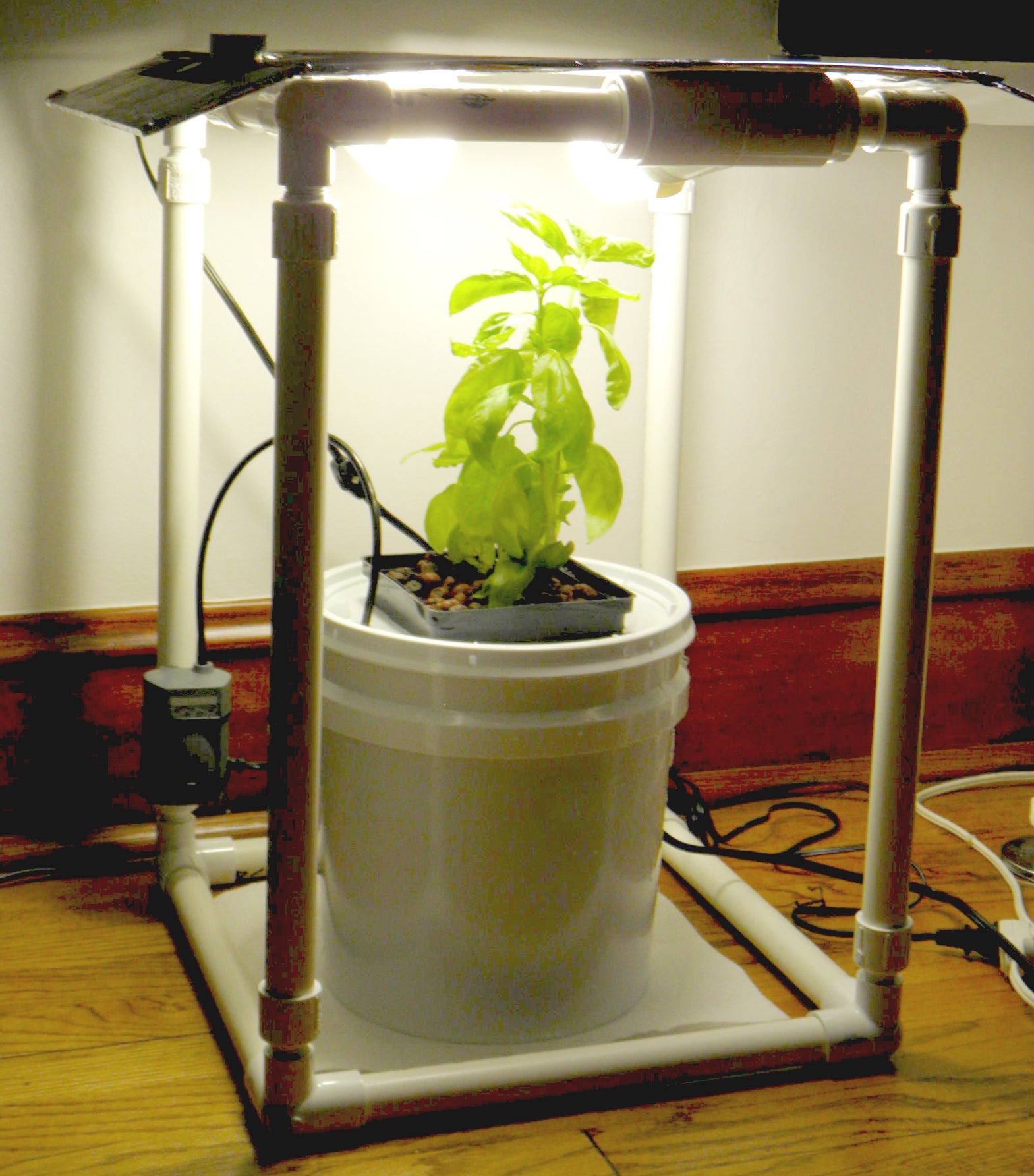 The Basil Box Compact and Affordable Hydroponic Deep Water