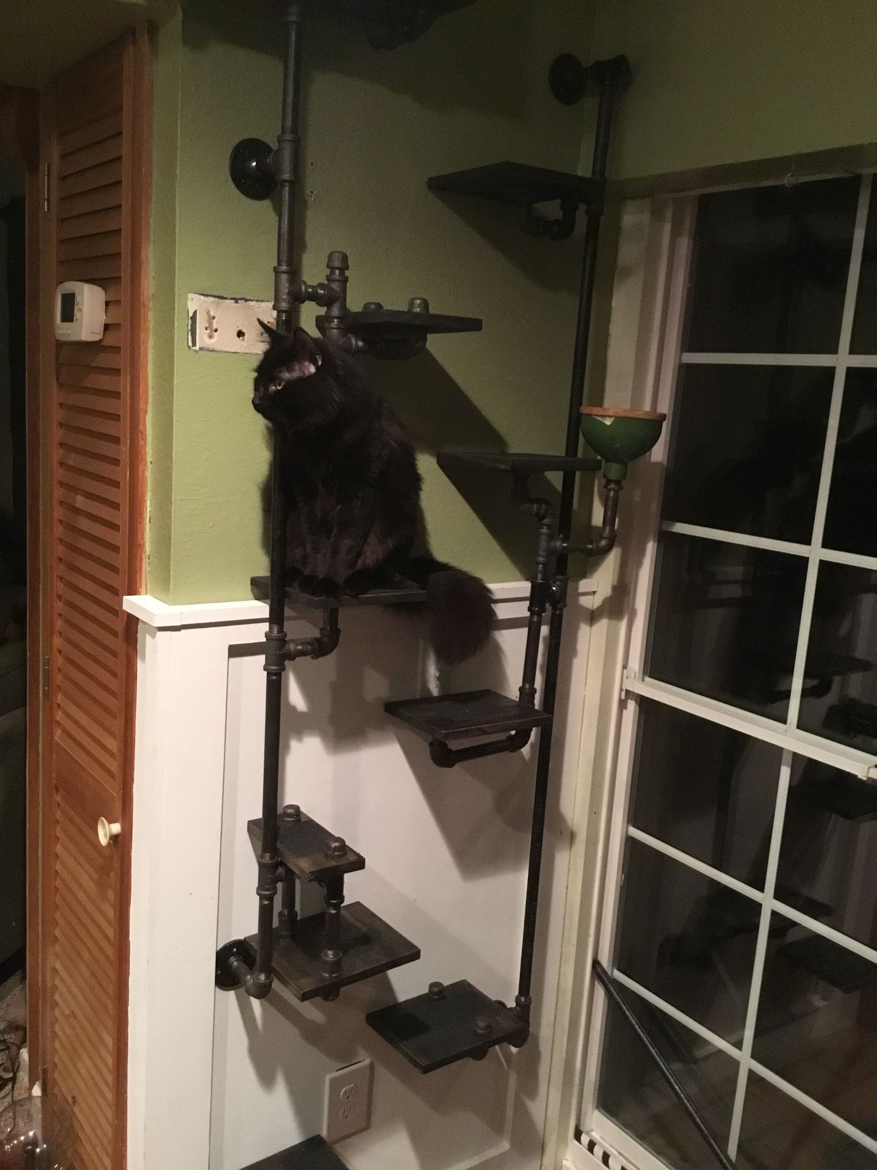 Cat Wall 5 Steps (with Pictures) Instructables