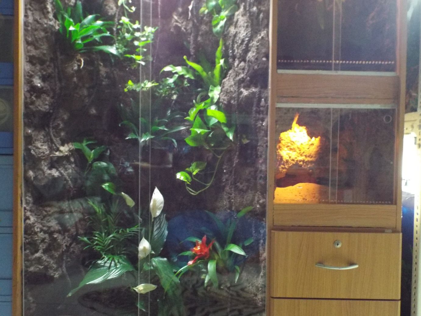 Converting Clothes Into a Multiple Vivarium Enclosure 23
