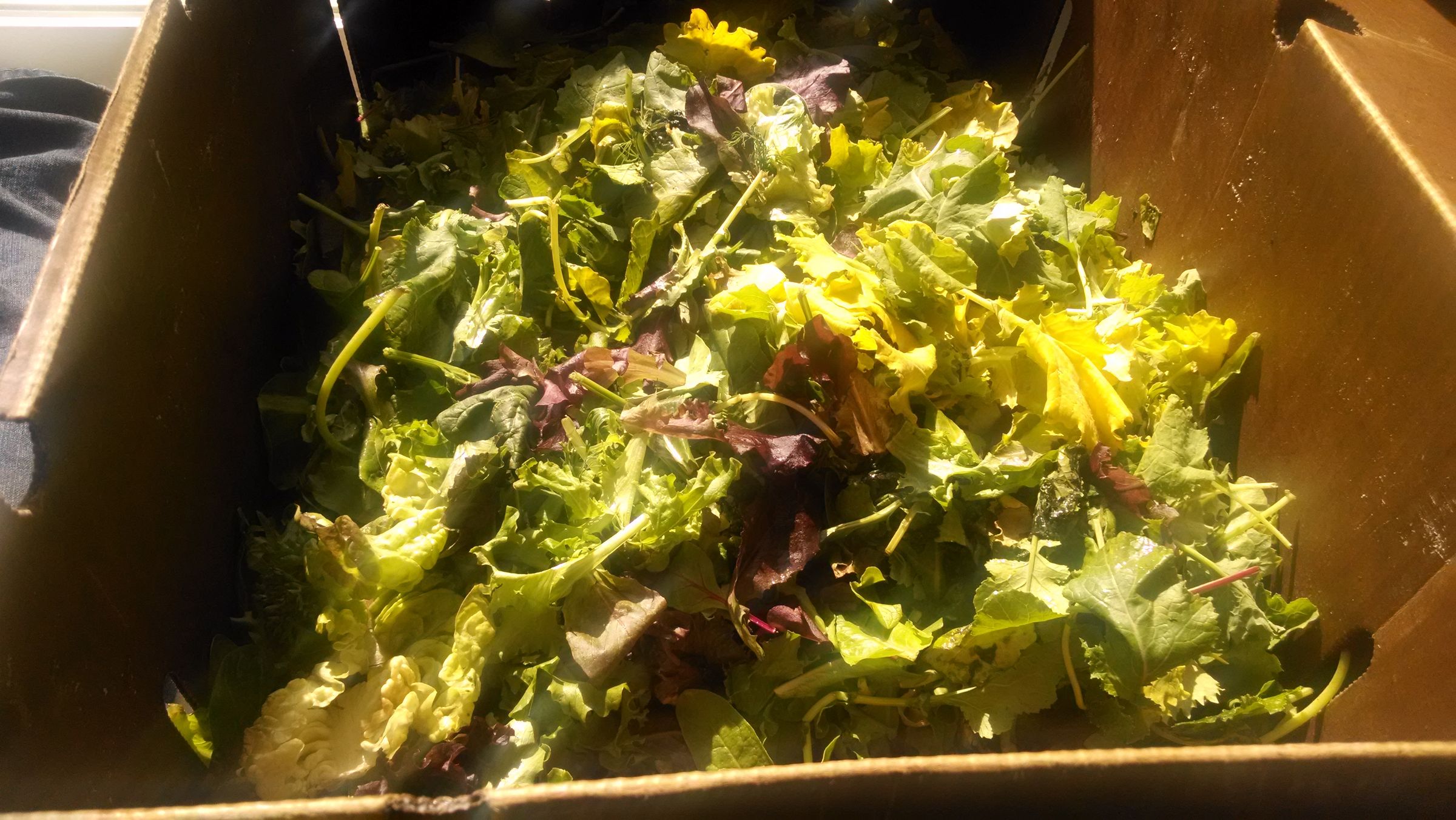 Small Rabbit Farming : 7 Steps (with Pictures) - Instructables